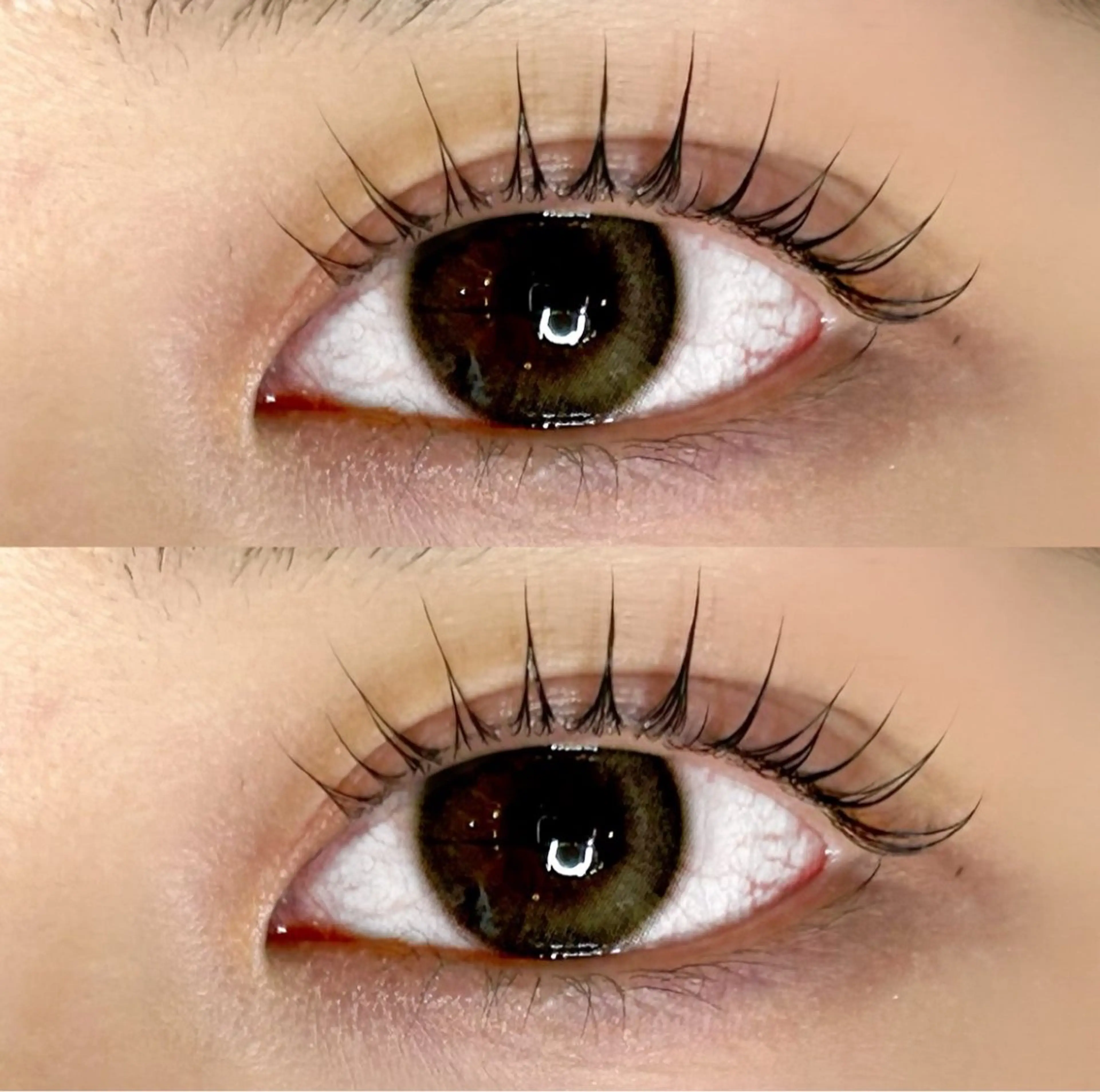 マツエク・マツパ マツパ Roy's lash ♡　AYAのマツエク・マツパデザイン