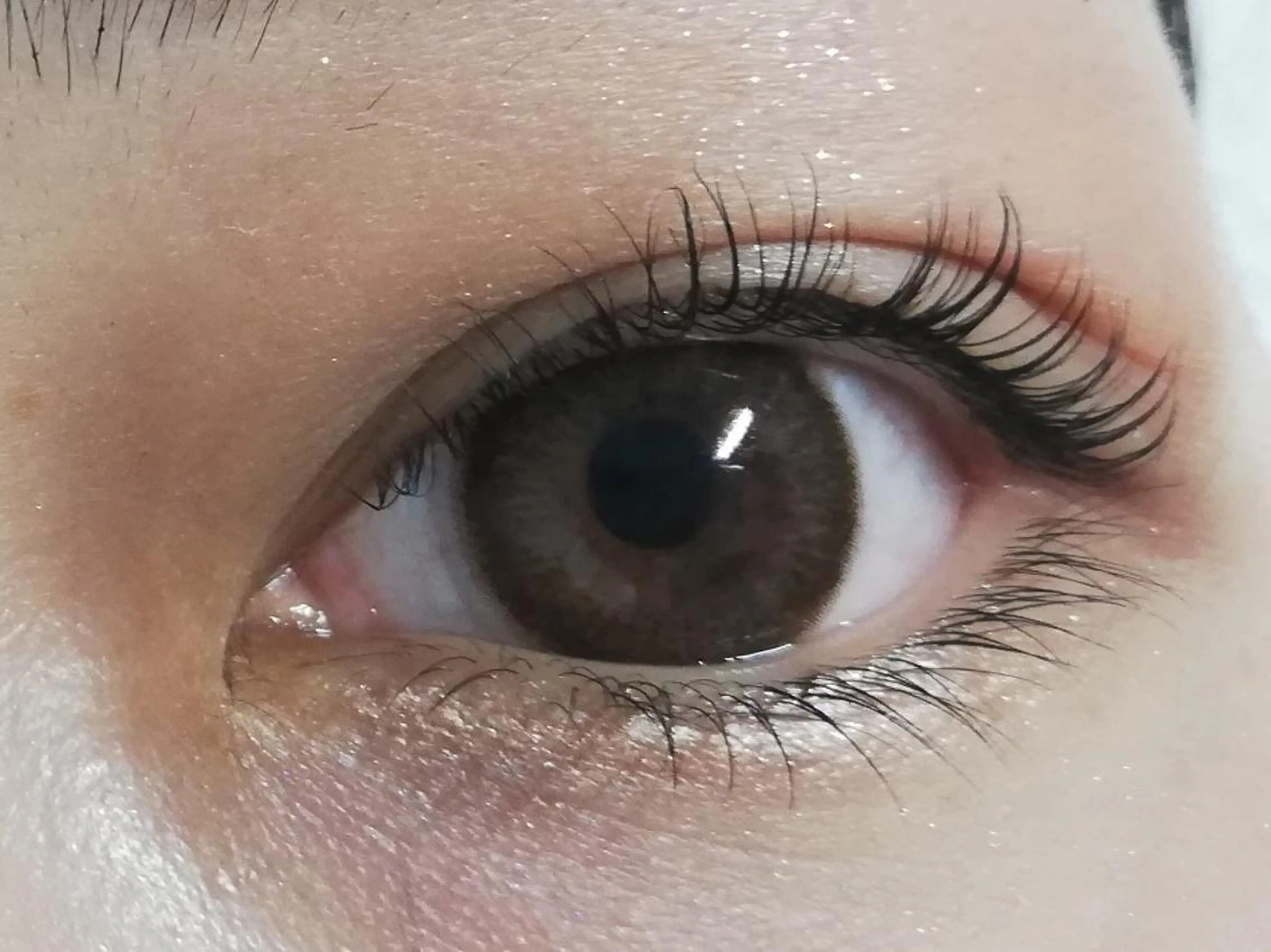 マツエク・マツパ マツパ angelux 所属・完全個室サロン🌹 angelux🌹のマツエク・マツパデザイン