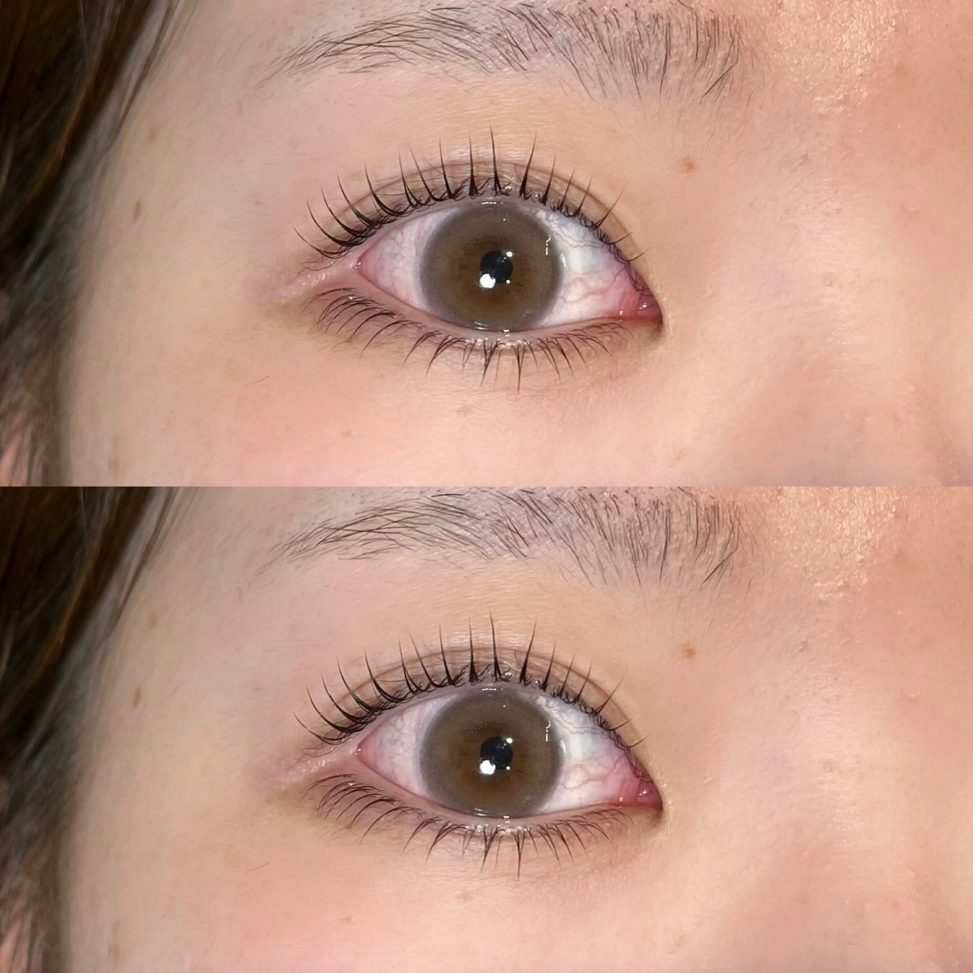 ใใใจใฏใปใใใ ๐๐๐๐๐ ๆ่ฑใฎใใใจใฏใปใใใใใถใคใณ