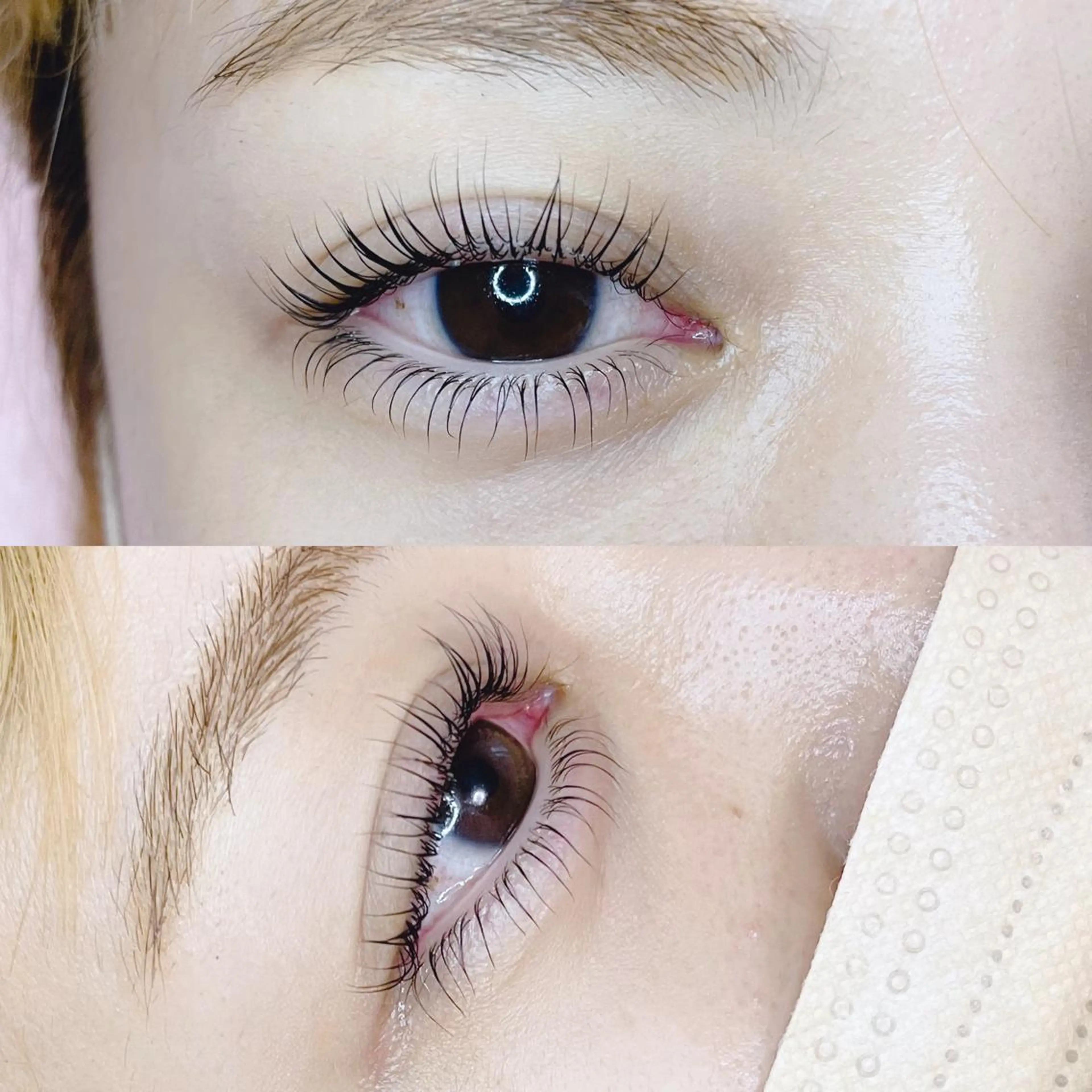 【ご新規様🫧】まつげパーマ上下＋美容液コーティング付き❤️の写真