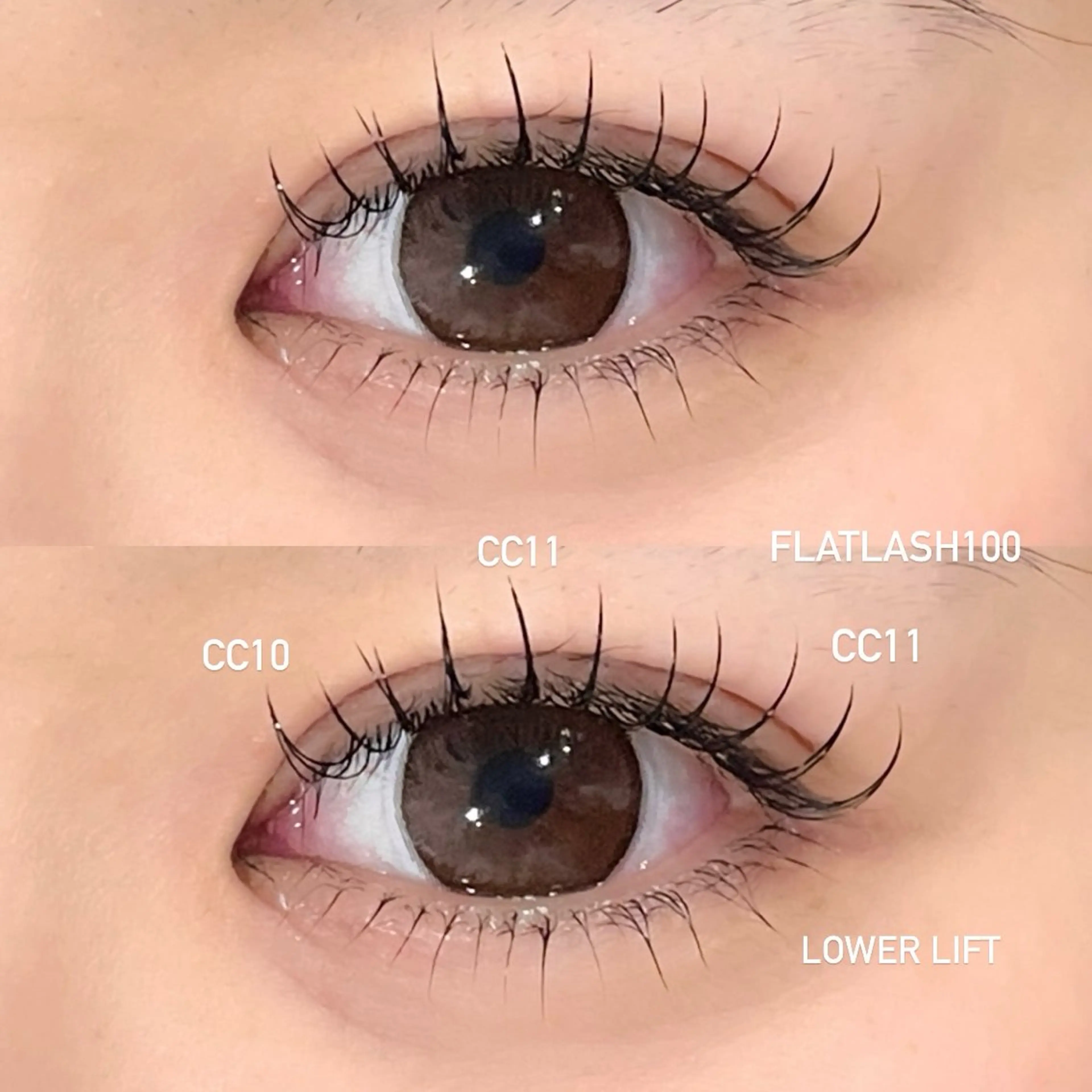 マツエク・マツパ まつげパーマ 下まつげエクステ 《EYELA》 ayaka🩰のマツエク・マツパデザイン