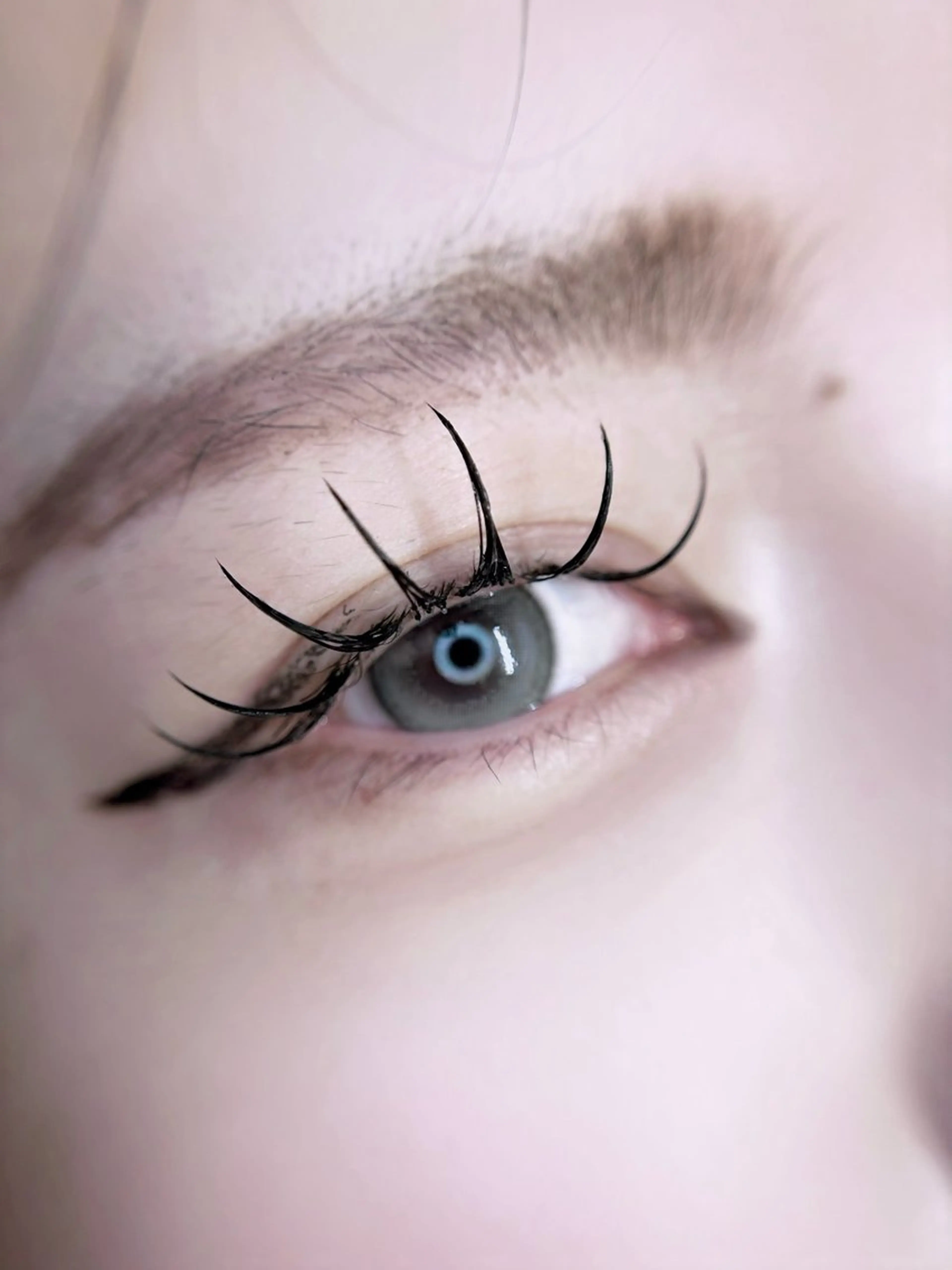 マツエク・マツパ フラットラッシュ マツエク 🎀eyelist. mizuki🐈‍⬛の眉毛・アイブロウイメージ