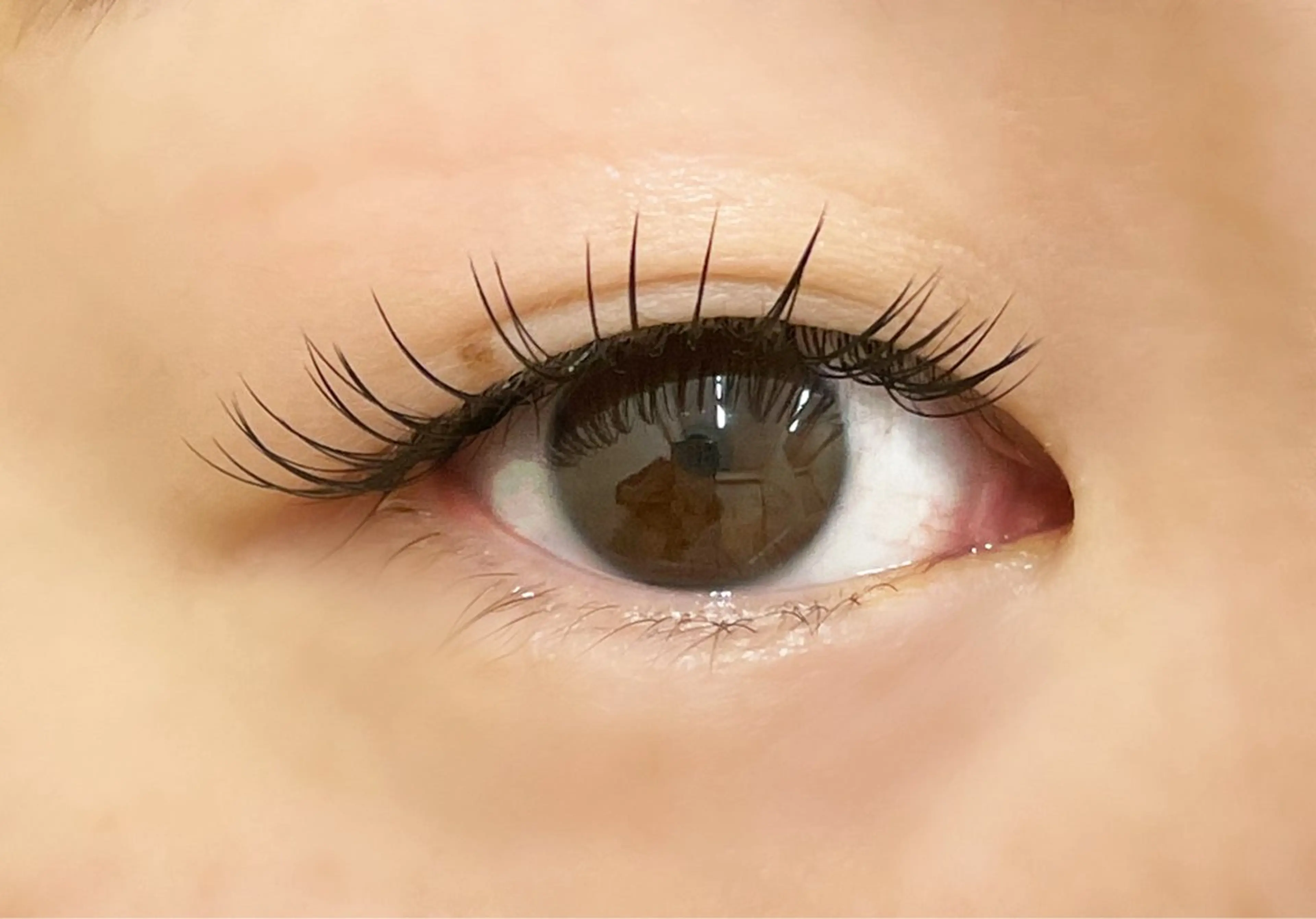 マツエク・マツパ フラットラッシュ マツエク DOLL -eyelash-のマツエク・マツパデザイン