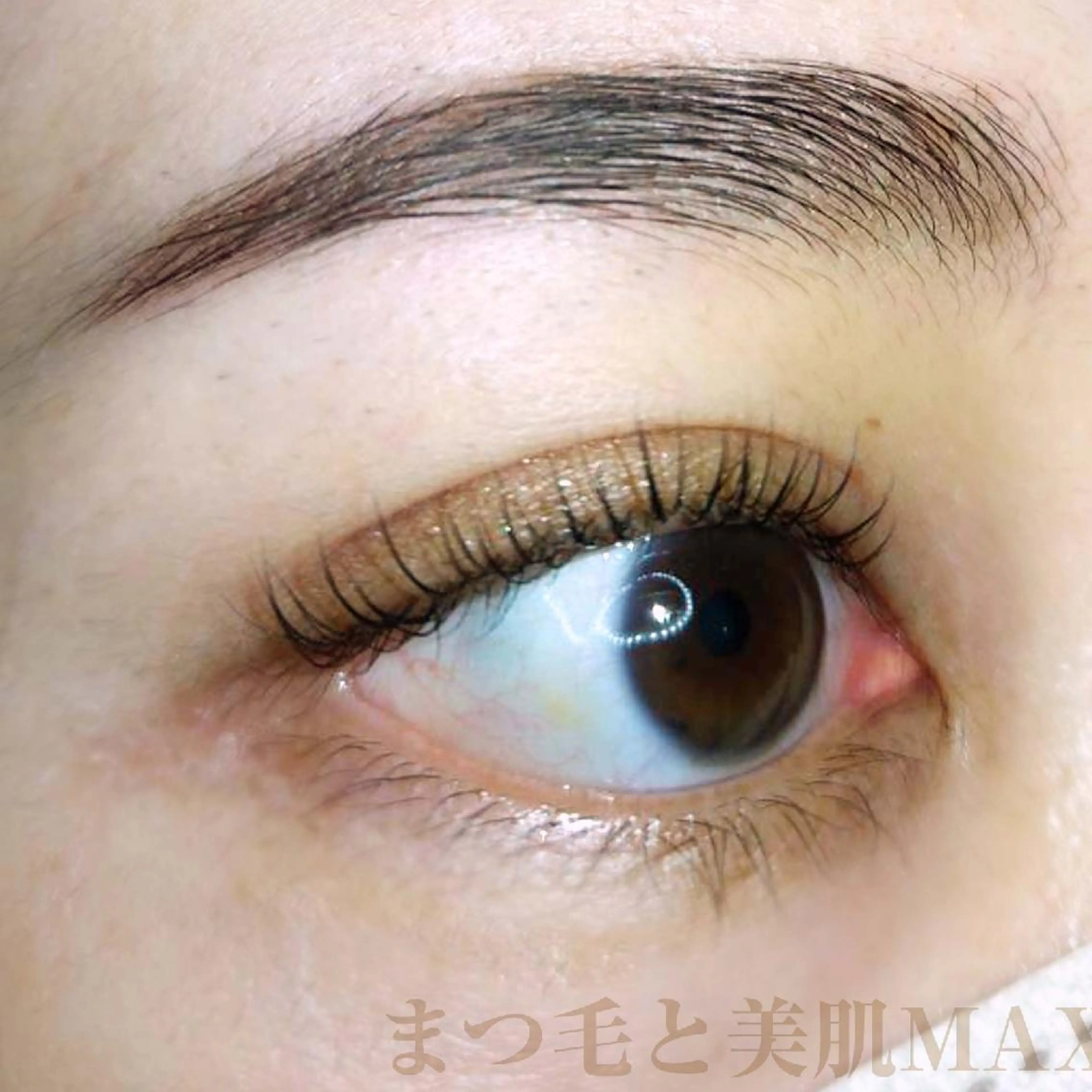 アイブロウ マツパ MAXまつ毛&  フェイシャルのマツエク・マツパデザイン