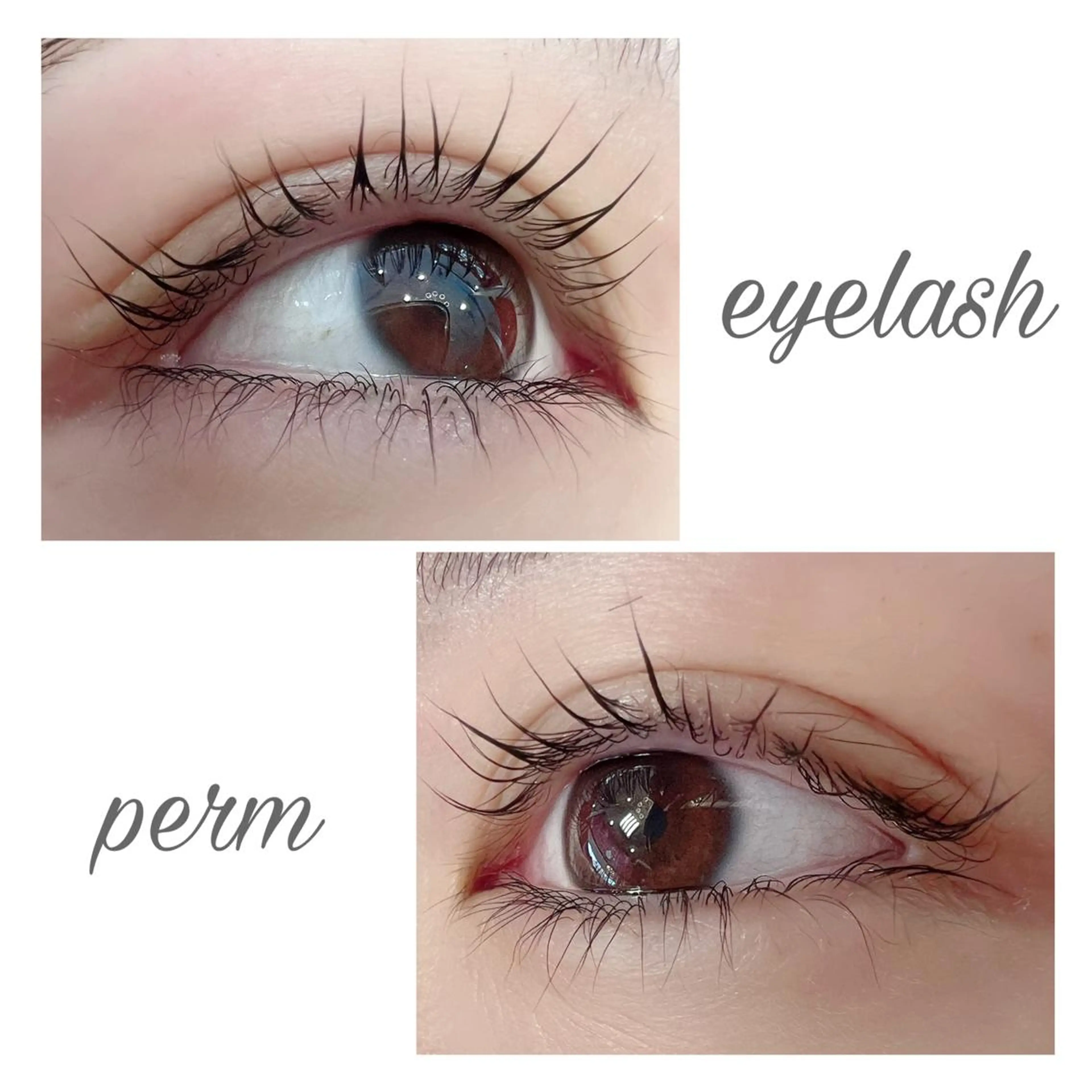 マツエク・マツパ 一重×まつ毛パーマ 藤川 瑛梨奈のマツエク・マツパデザイン