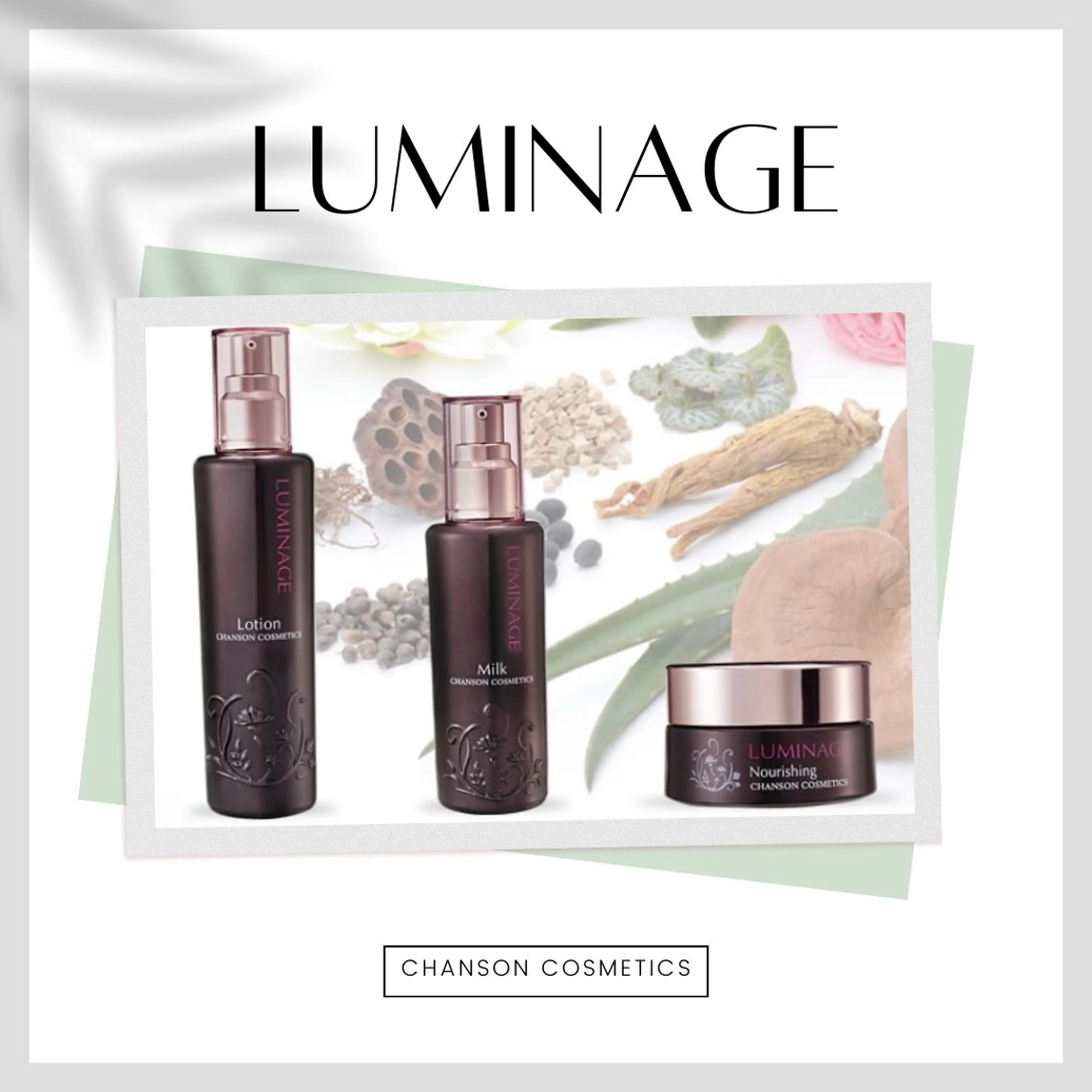 【ご新規様限定】【肌質改善ならココ✨️】和漢植物性×発酵処方で自然治癒力UP!ストレスに強い肌へ導く不安定肌コースの写真