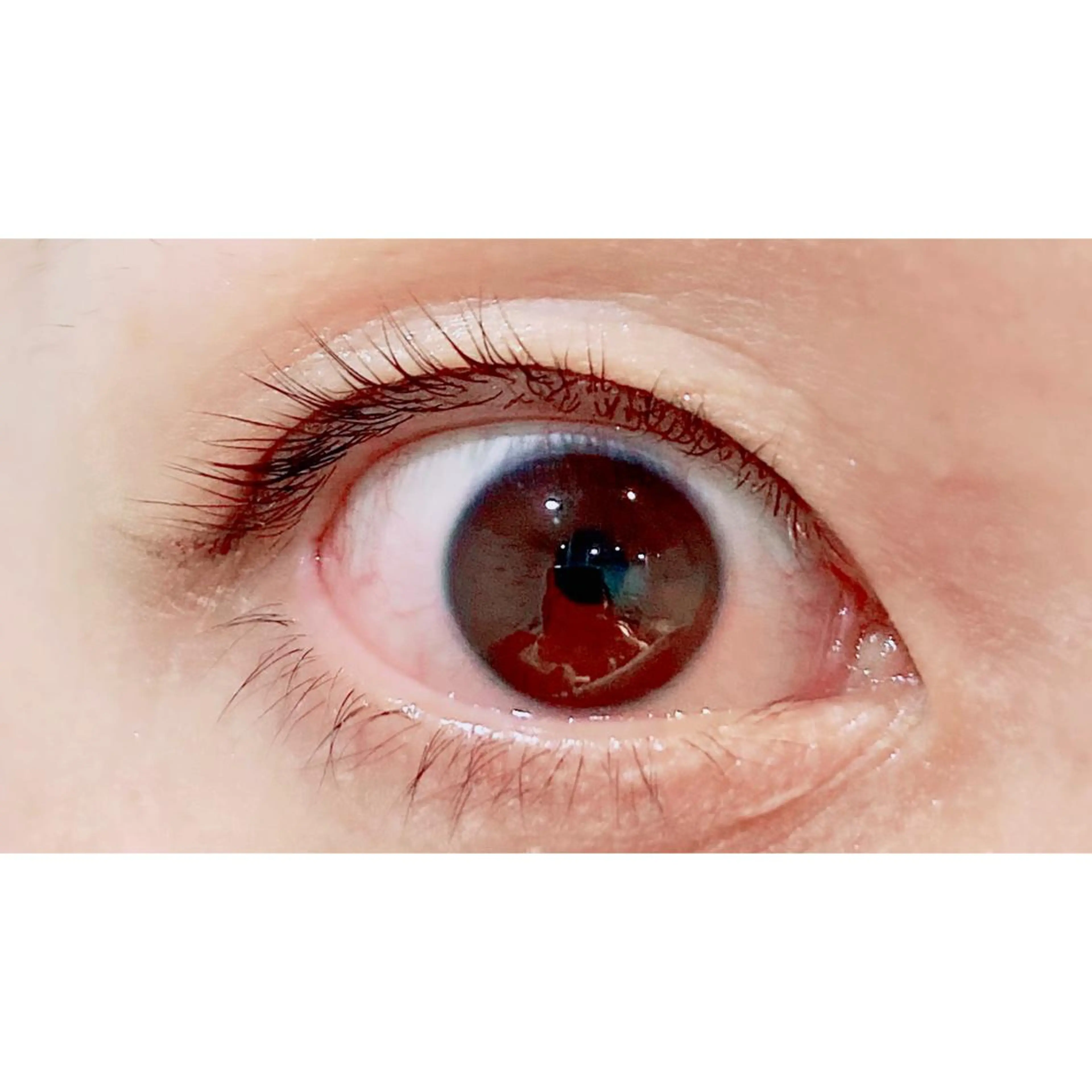 マツエク・マツパ パリジェンヌラッシュリフト Bianca 長津田店　長牛の眉毛・アイブロウイメージ