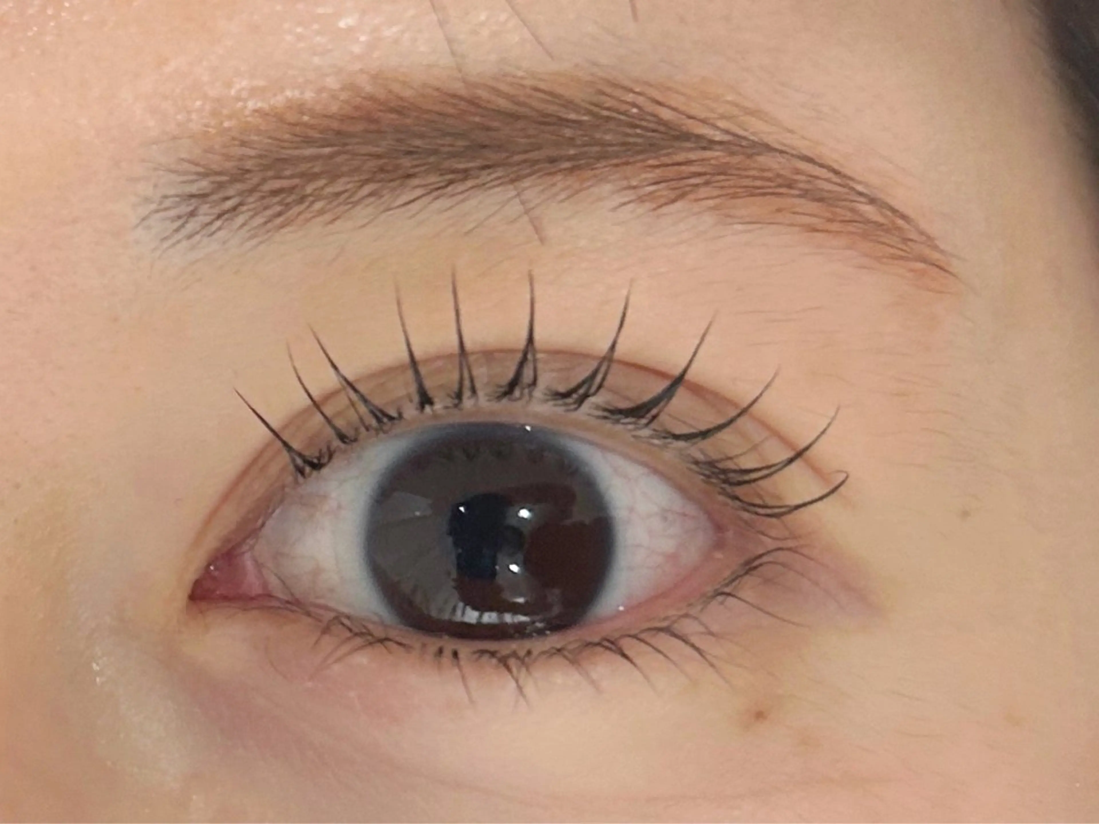 マツエク・マツパ Fiara 研修所💐のマツエク・マツパデザイン