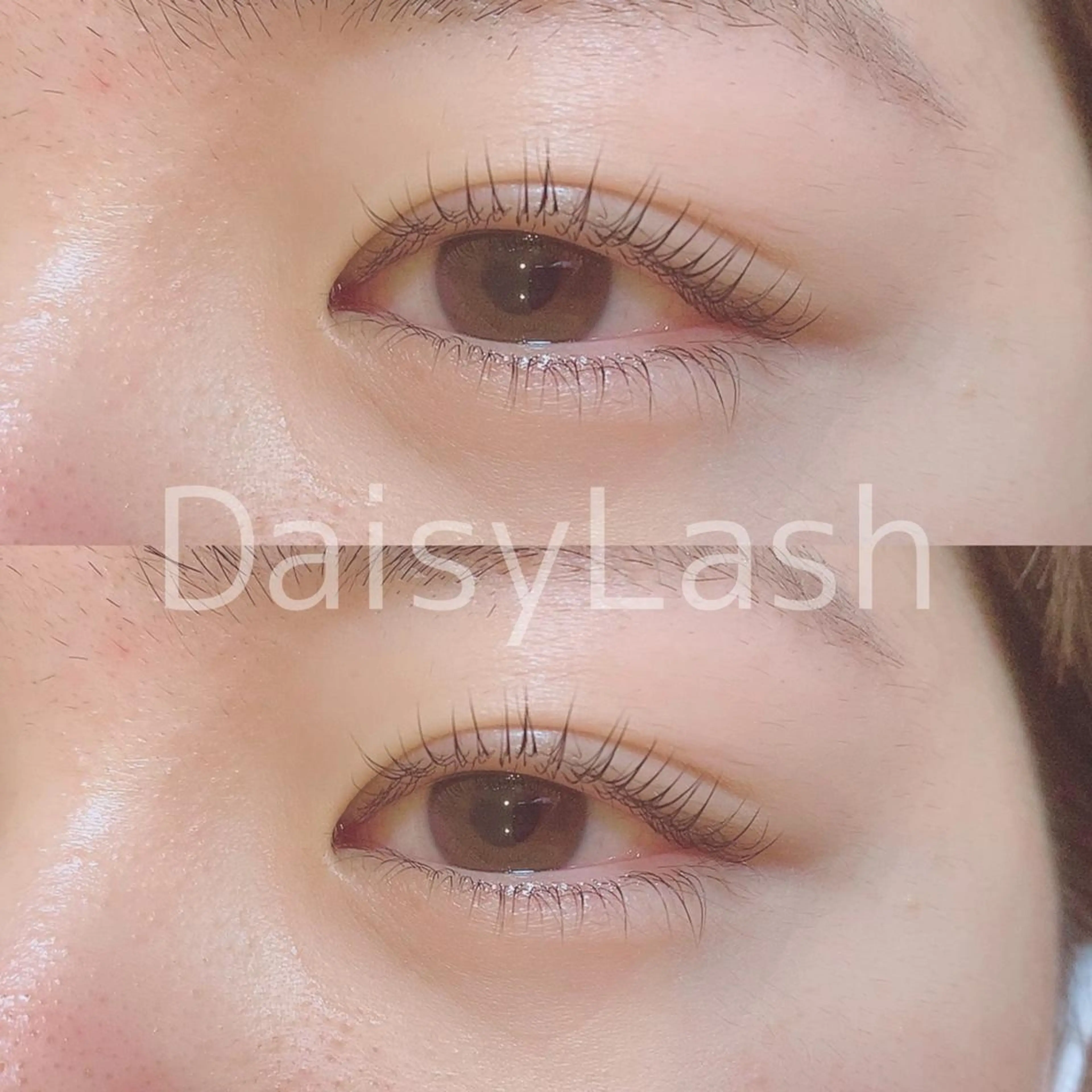 マツエク・マツパ DaisyLash 京橋店のマツエク・マツパデザイン