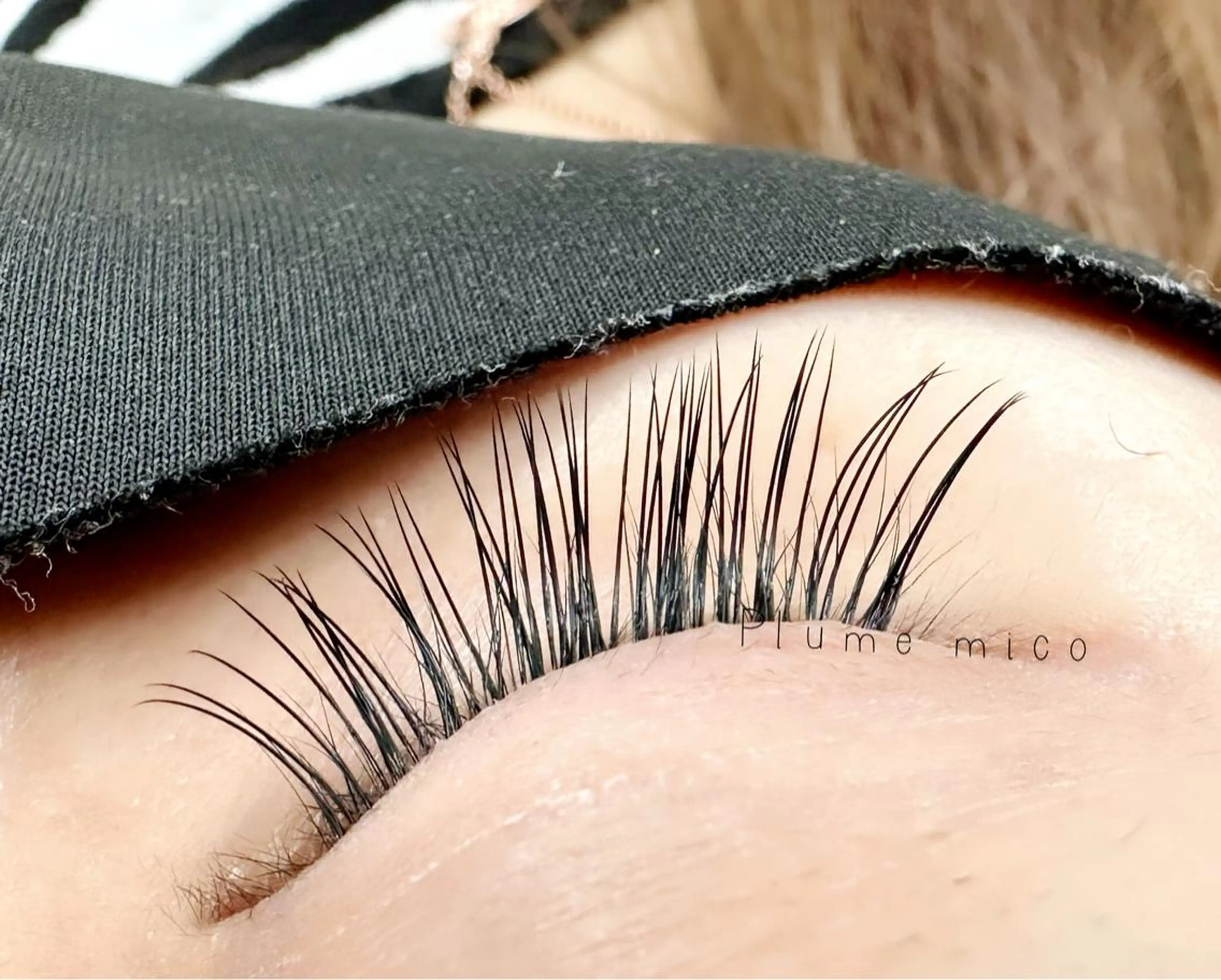 マツエク・マツパ Dカール マツエク Plume micoのマツエク・マツパデザイン