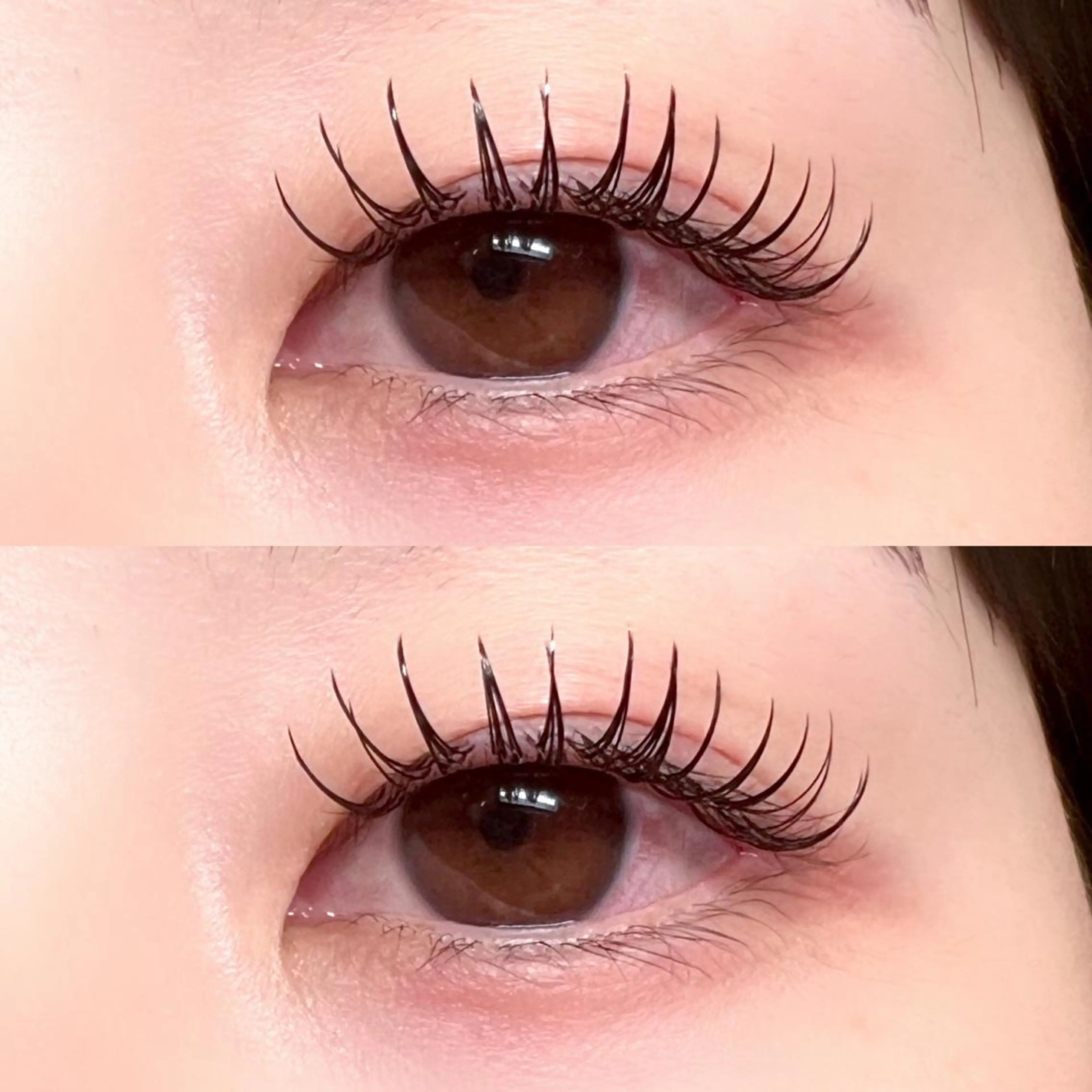 マツエク・マツパ フラットラッシュ リネル 新宿西口のマツエク・マツパデザイン