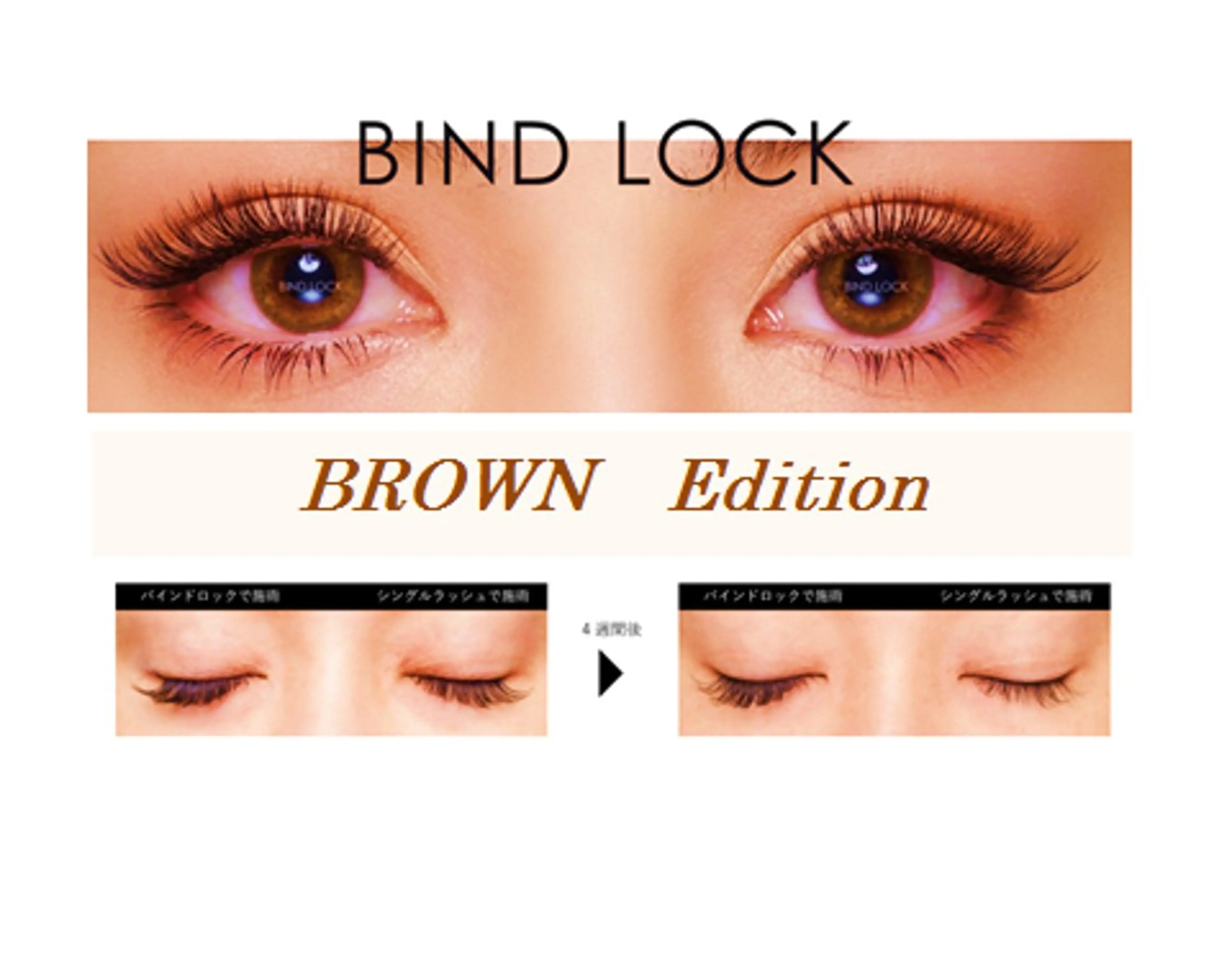 週替わり4/16-4/23🉐限定5名🧋バインドロックブラウンカラー80束/240本🧋持ちよく優しい目元にの写真