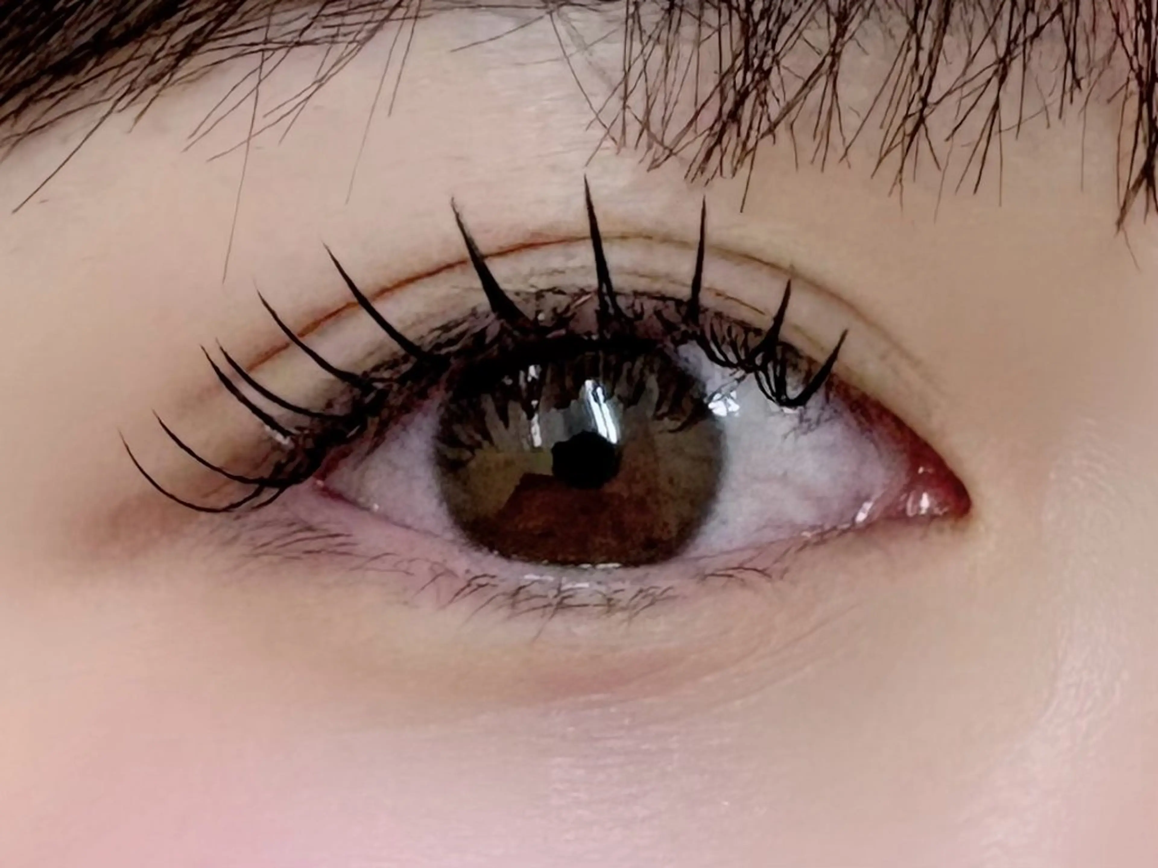 フラットラッシュ（上）100本オフ込み🐧コーティング付き🪄の写真