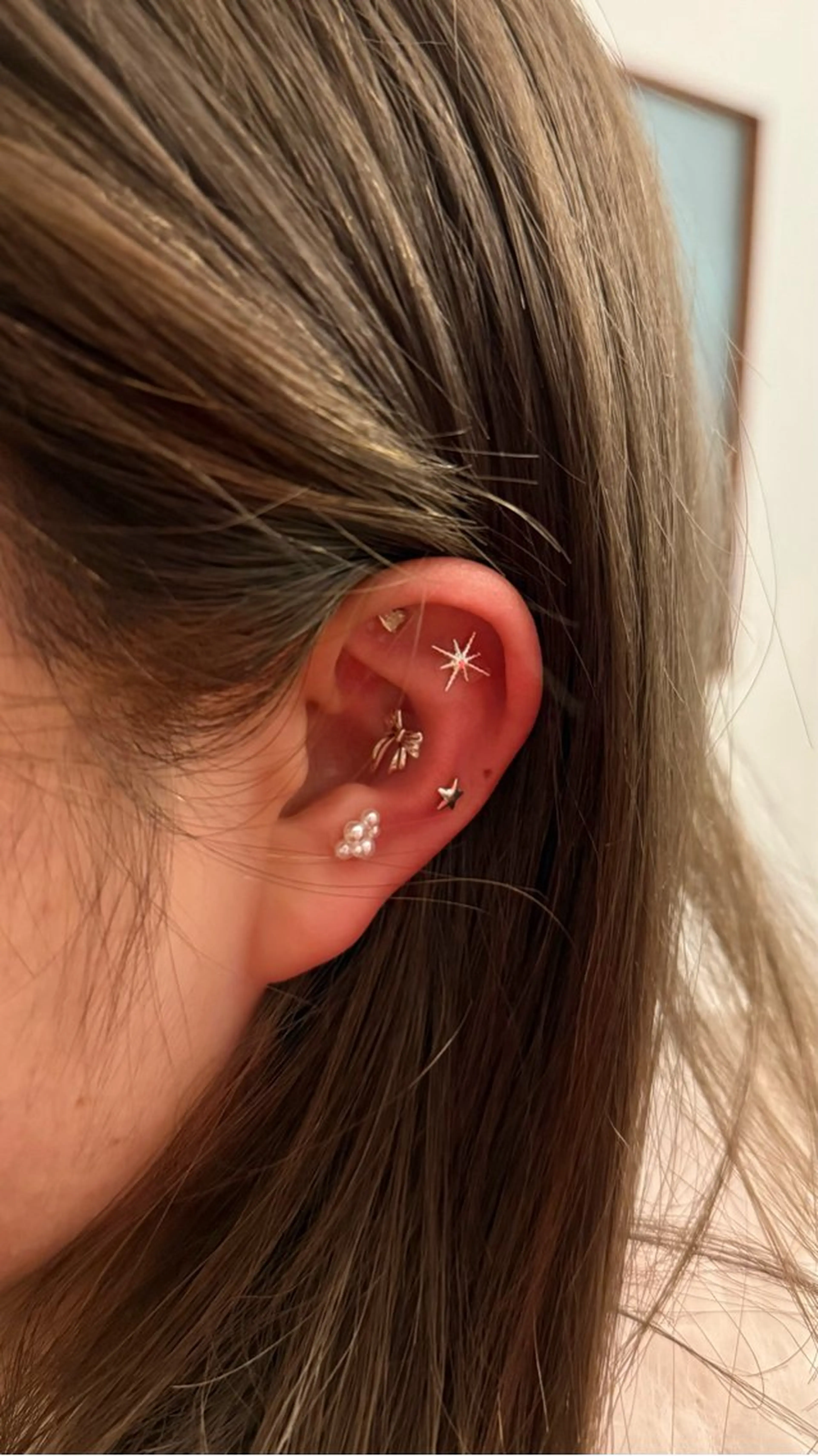 B.napus/mimi2bo所属・B.napus Nanohaのその他イメージ