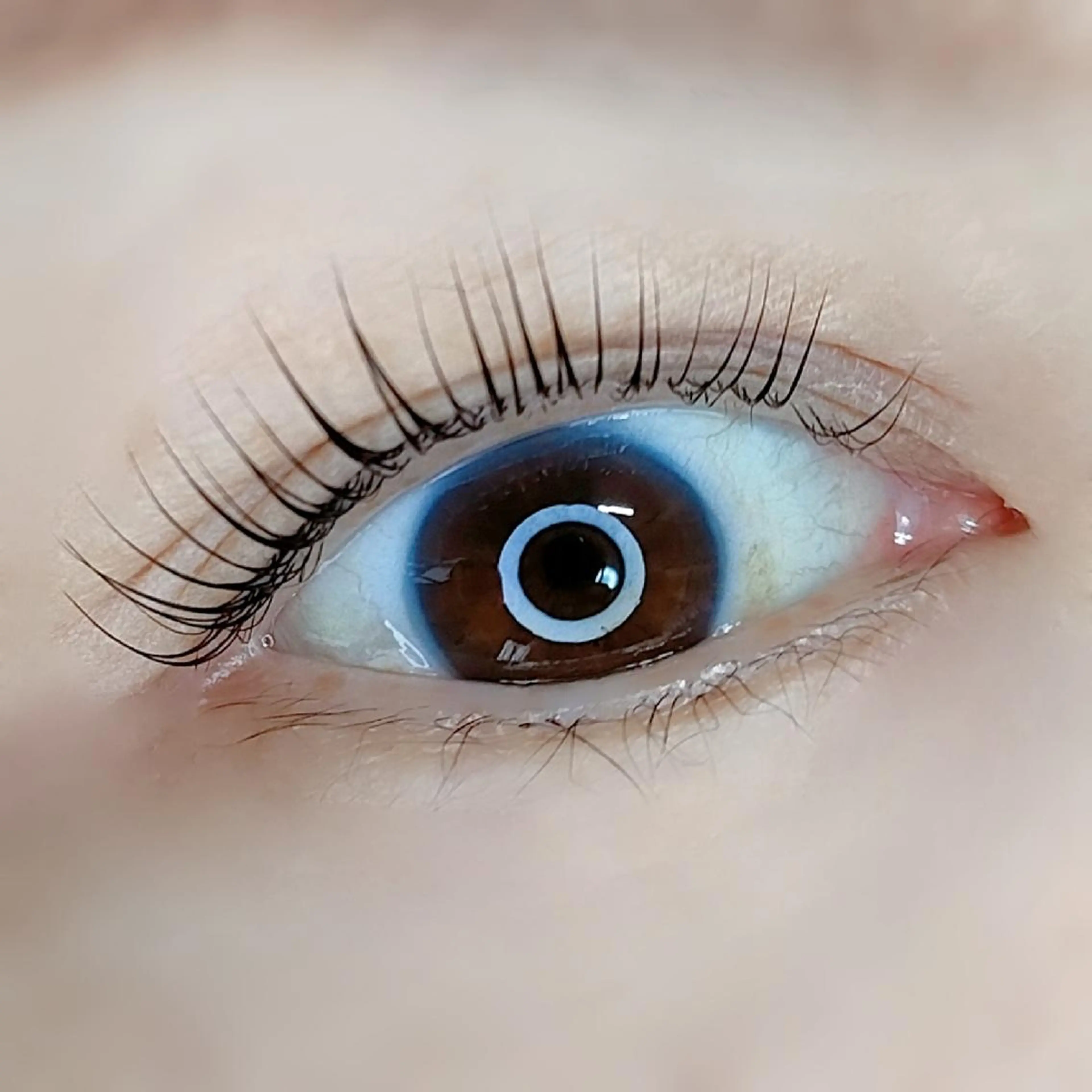 マツエク・マツパ 平山 ゆりのマツエク・マツパデザイン