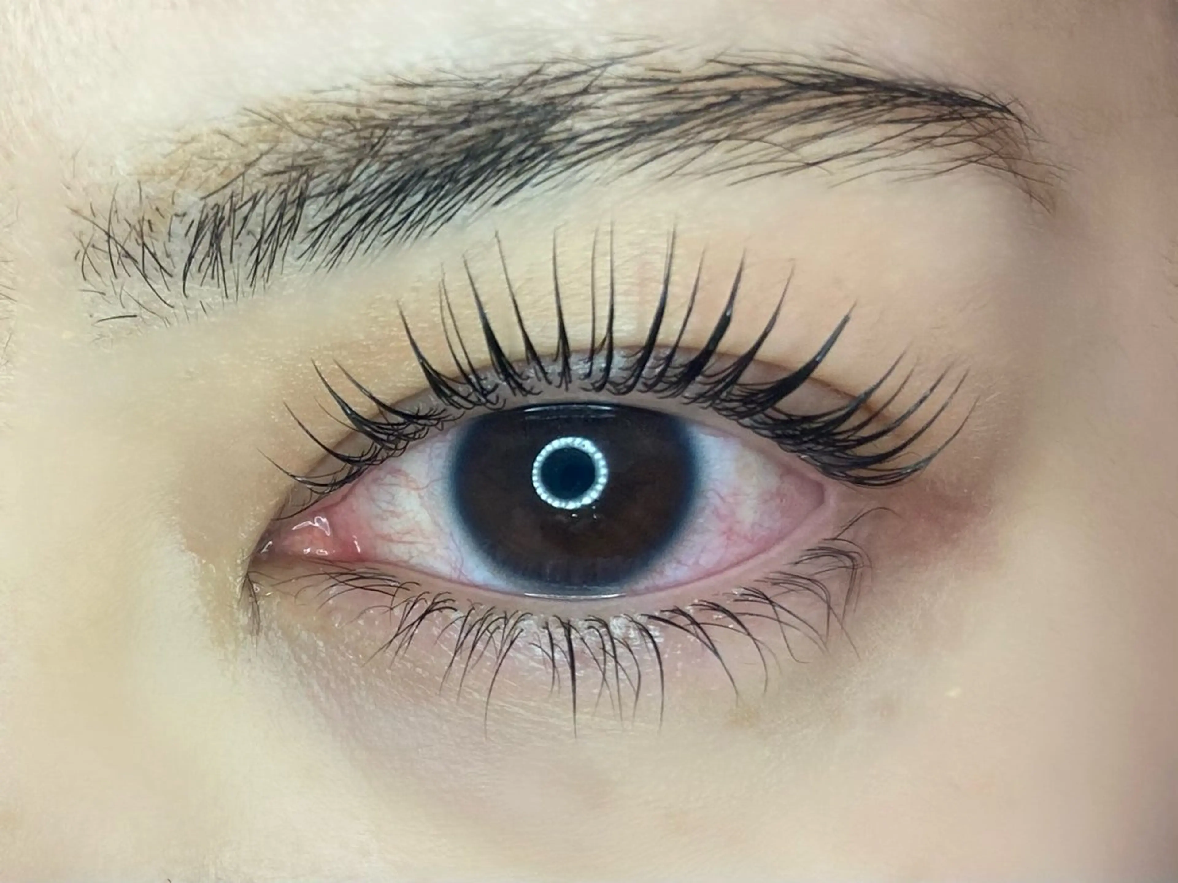 マツエク・マツパ マツパ Lupinus 長澤のマツエク・マツパデザイン