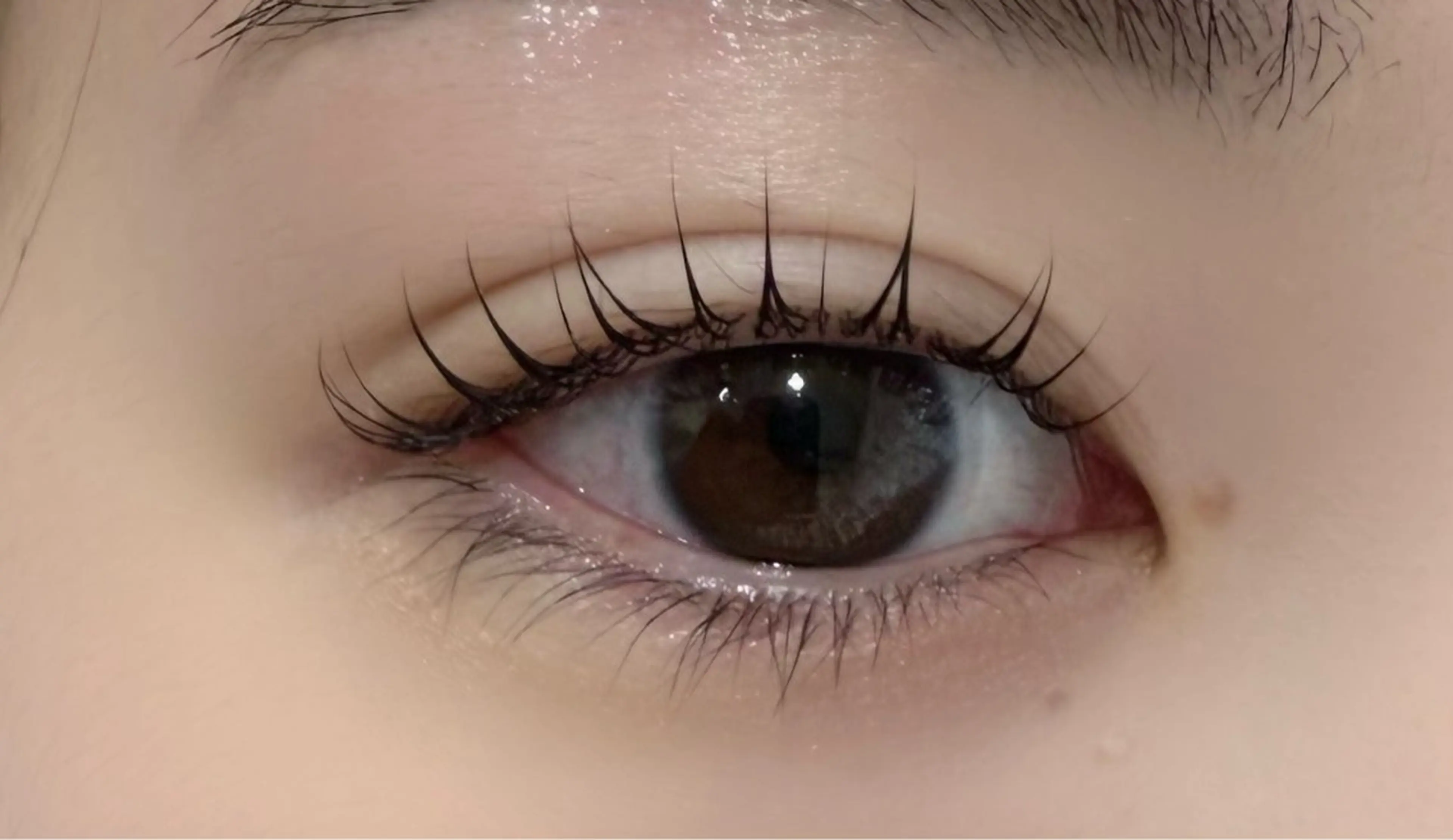 マツエク・マツパ 一重×まつ毛パーマ マツパ 【LOAVE】めい 🩵垢抜け/韓国風のマツエク・マツパデザイン