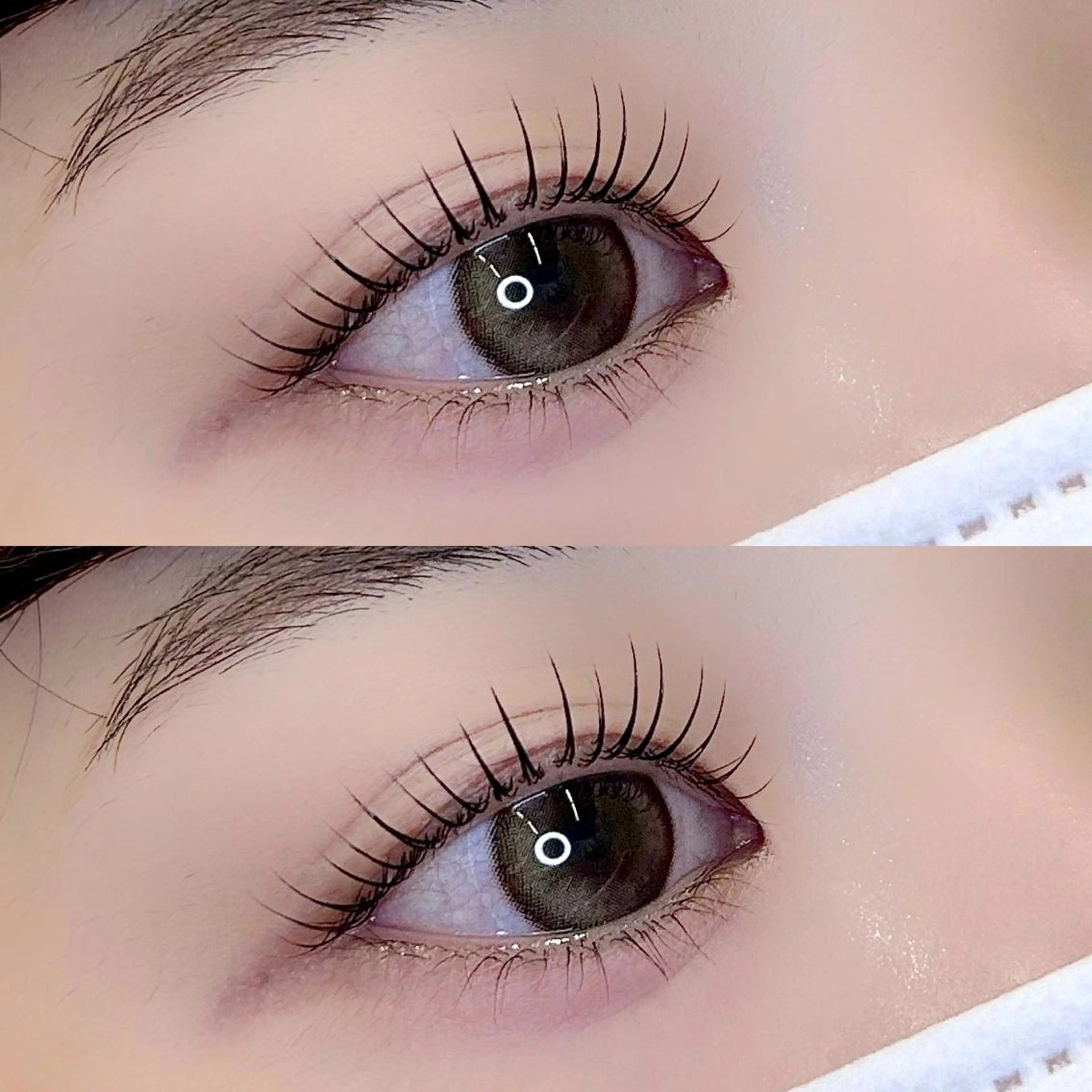 🌼似合わせラッシュリフト🌼の写真