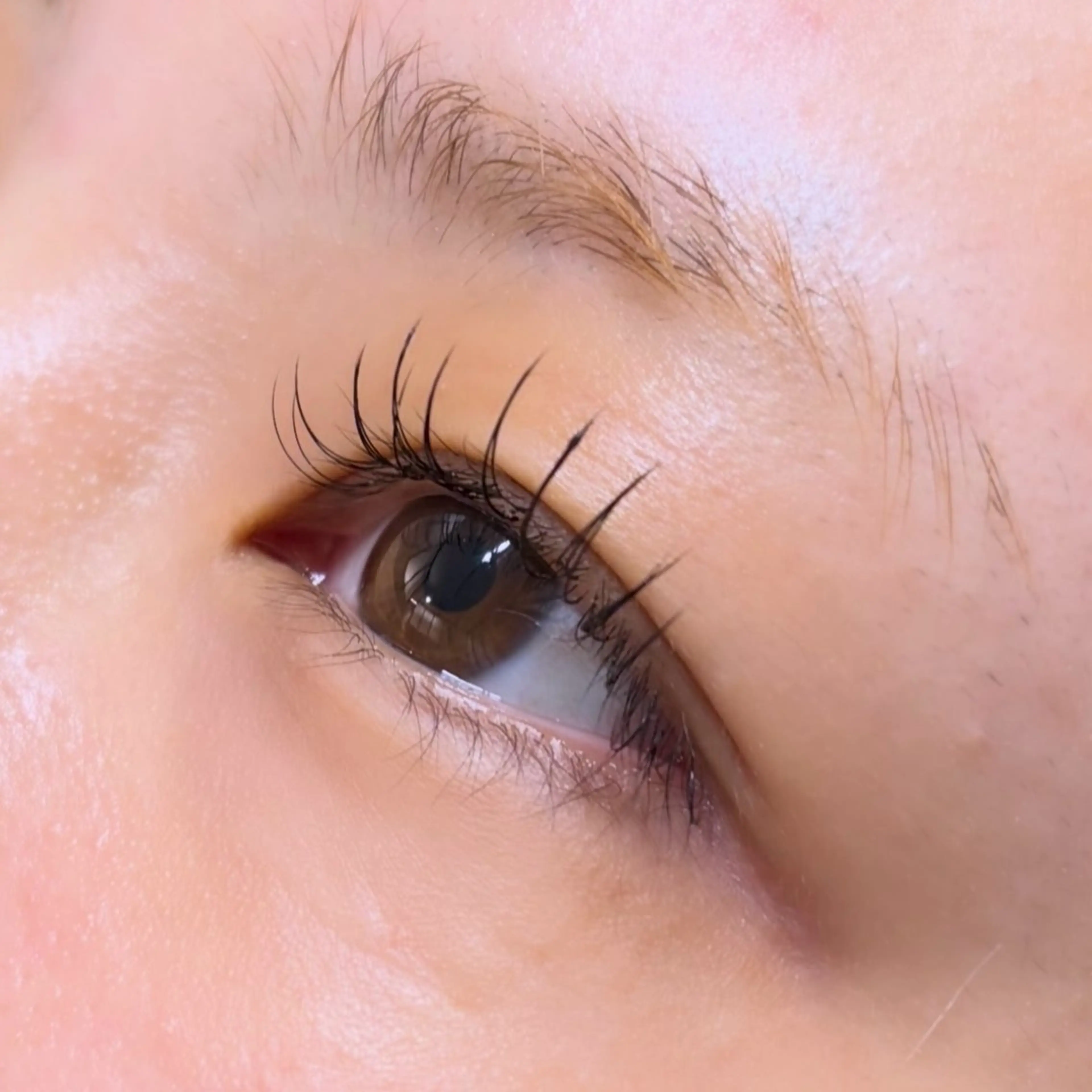 🤍フラットラッシュ60本(オフなし・付け足し不可)🤍の写真