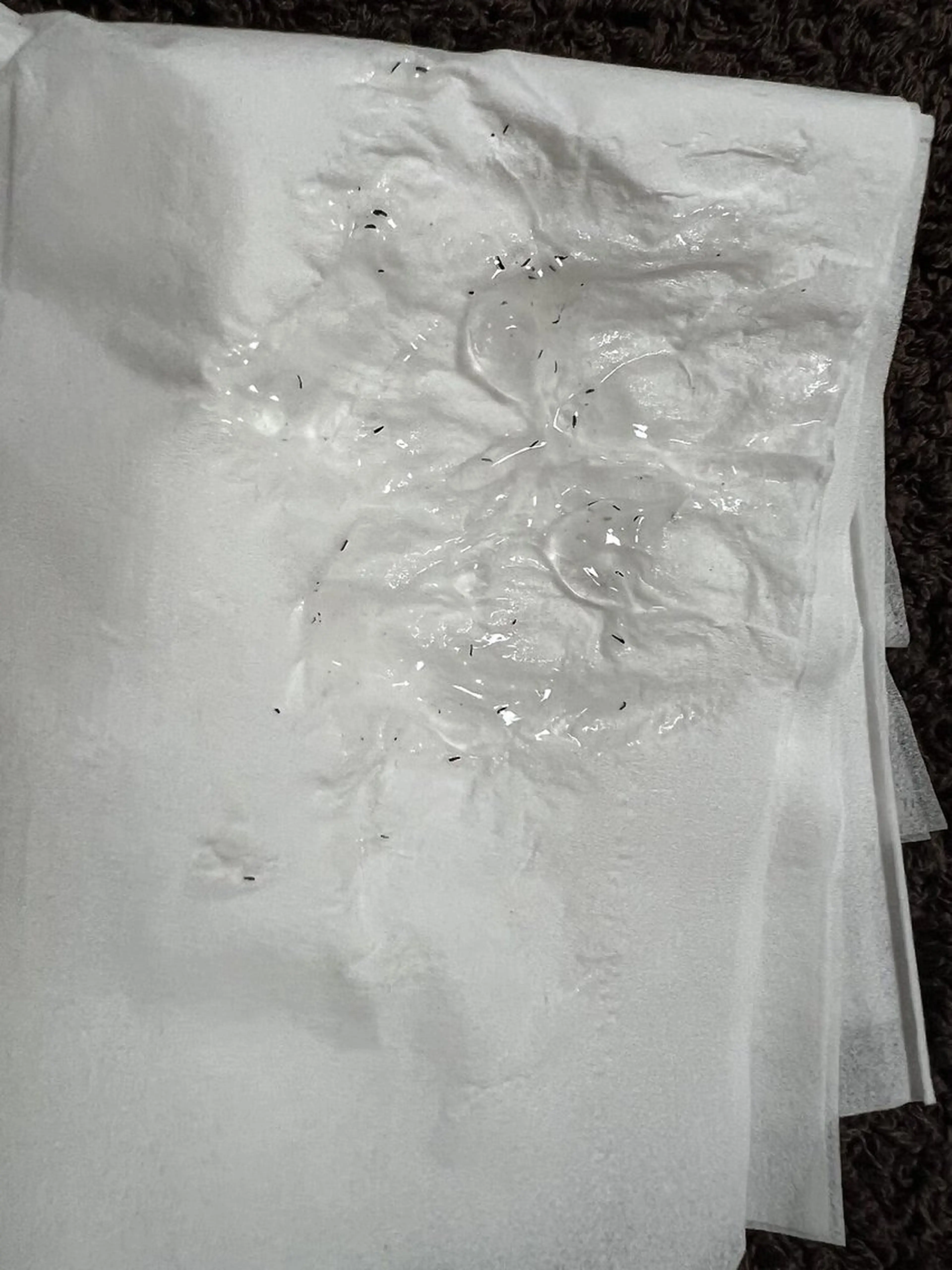 メンズ キッズ 脱毛 メンズ脱毛フェリッセ /男女🆗キッズ🆗のエステ・リラクイメージ