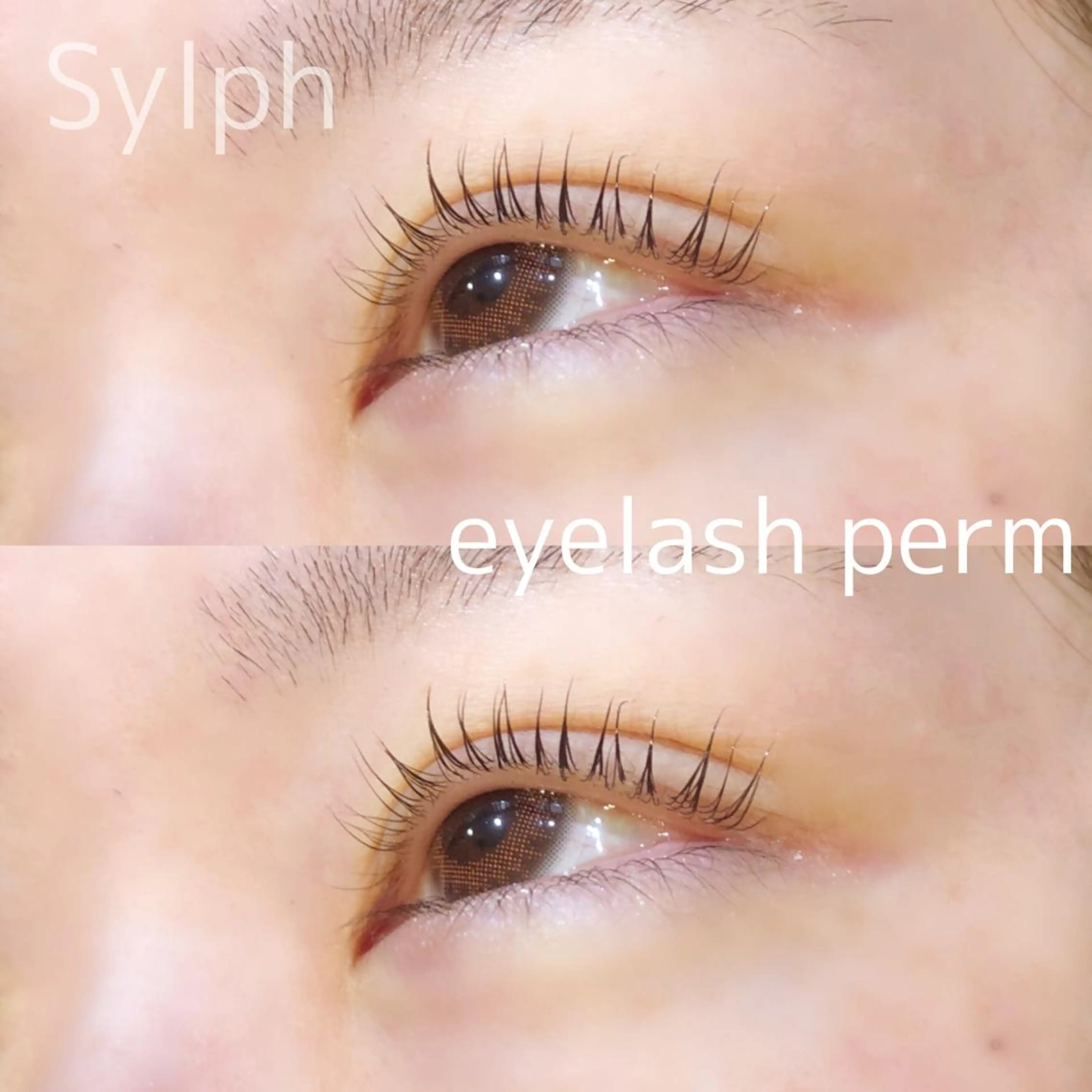 マツエク・マツパ 藤田 彩音のヘアスタイル