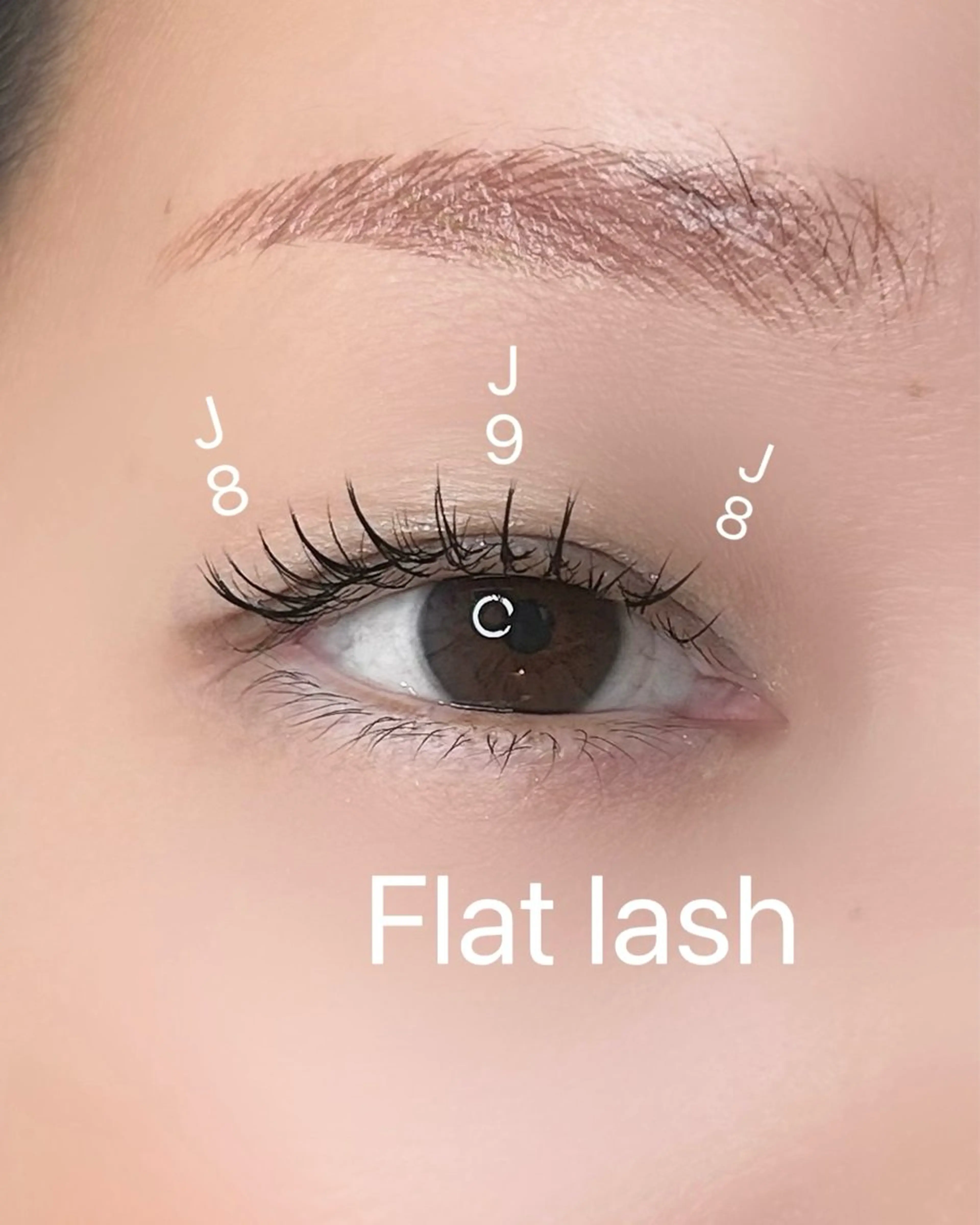 マツエク・マツパ フラットラッシュ マツエク elua eyelash所属・elua eyelashの眉毛・アイブロウイメージ