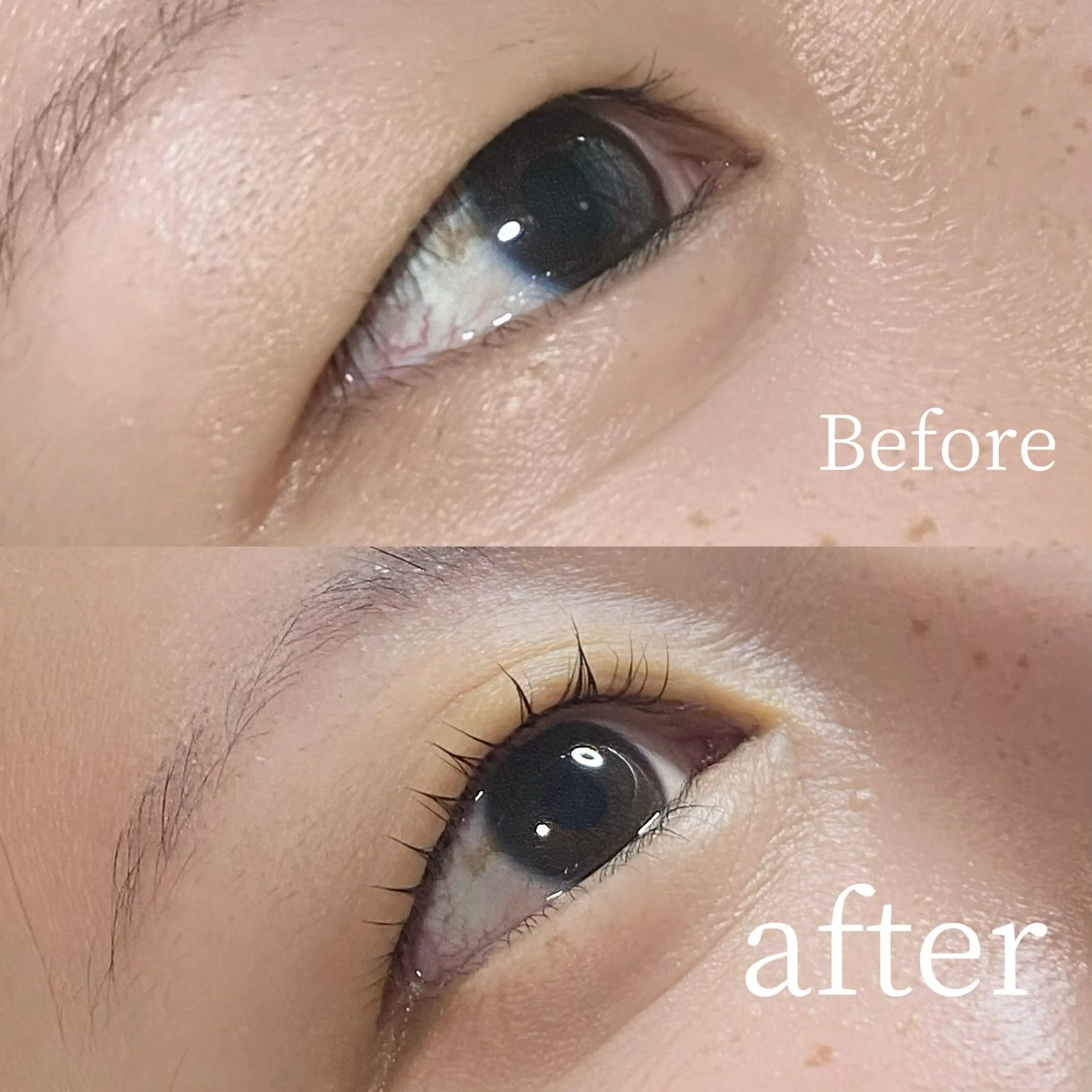 マツエク・マツパ ナチュラル 一重×まつ毛パーマ ヤマウチ ユリのマツエク・マツパデザイン