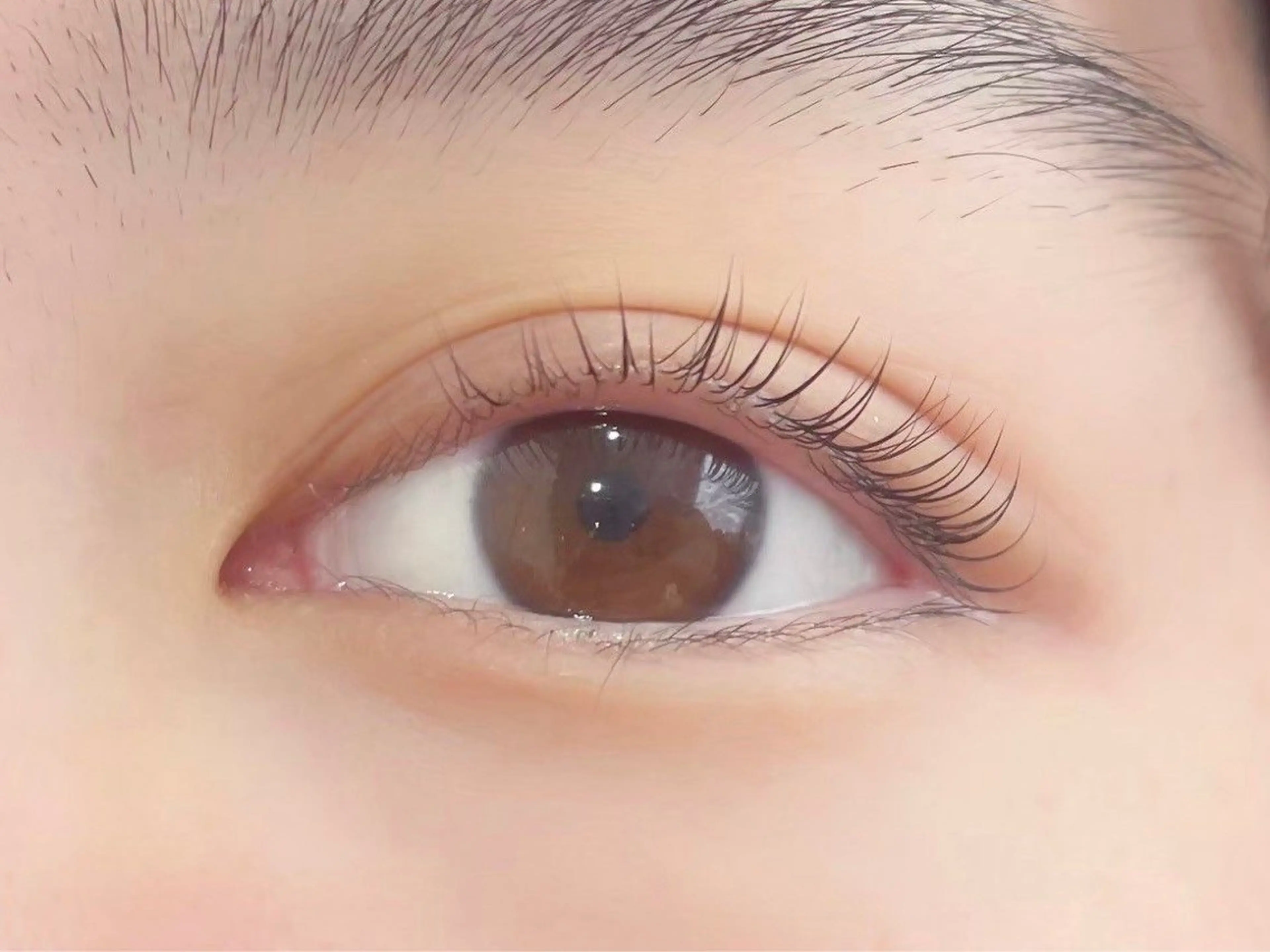 マツエク・マツパ Honey&Miel 🩶🎀AYANAのマツエク・マツパデザイン