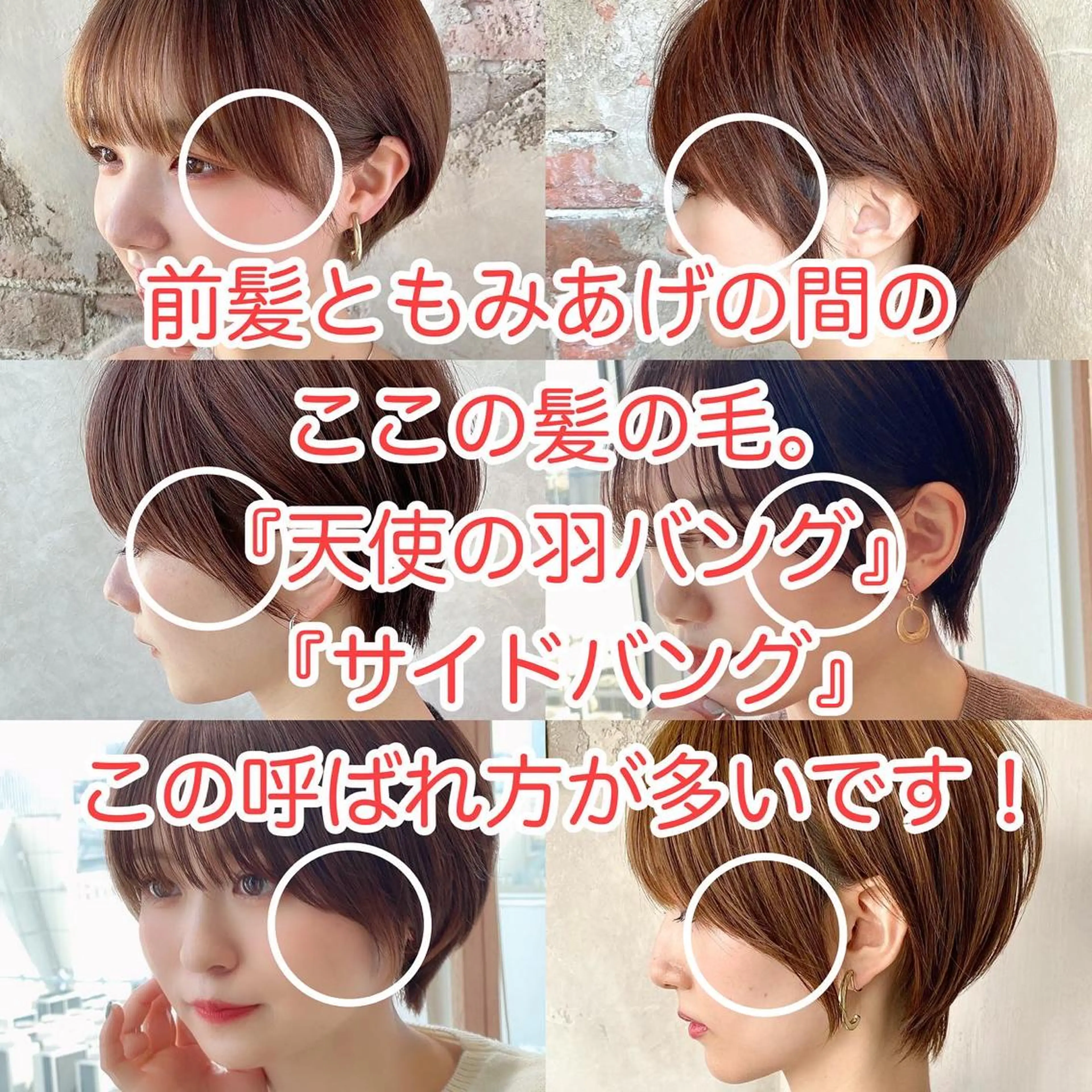 ショート 切りっぱなしボブ ショートボブ ハンサムショート 丸みショート アッシュ カット ヘアカラー トリートメント ショート、ボブの神✨ 峯朋也✂︎✨のヘアスタイル