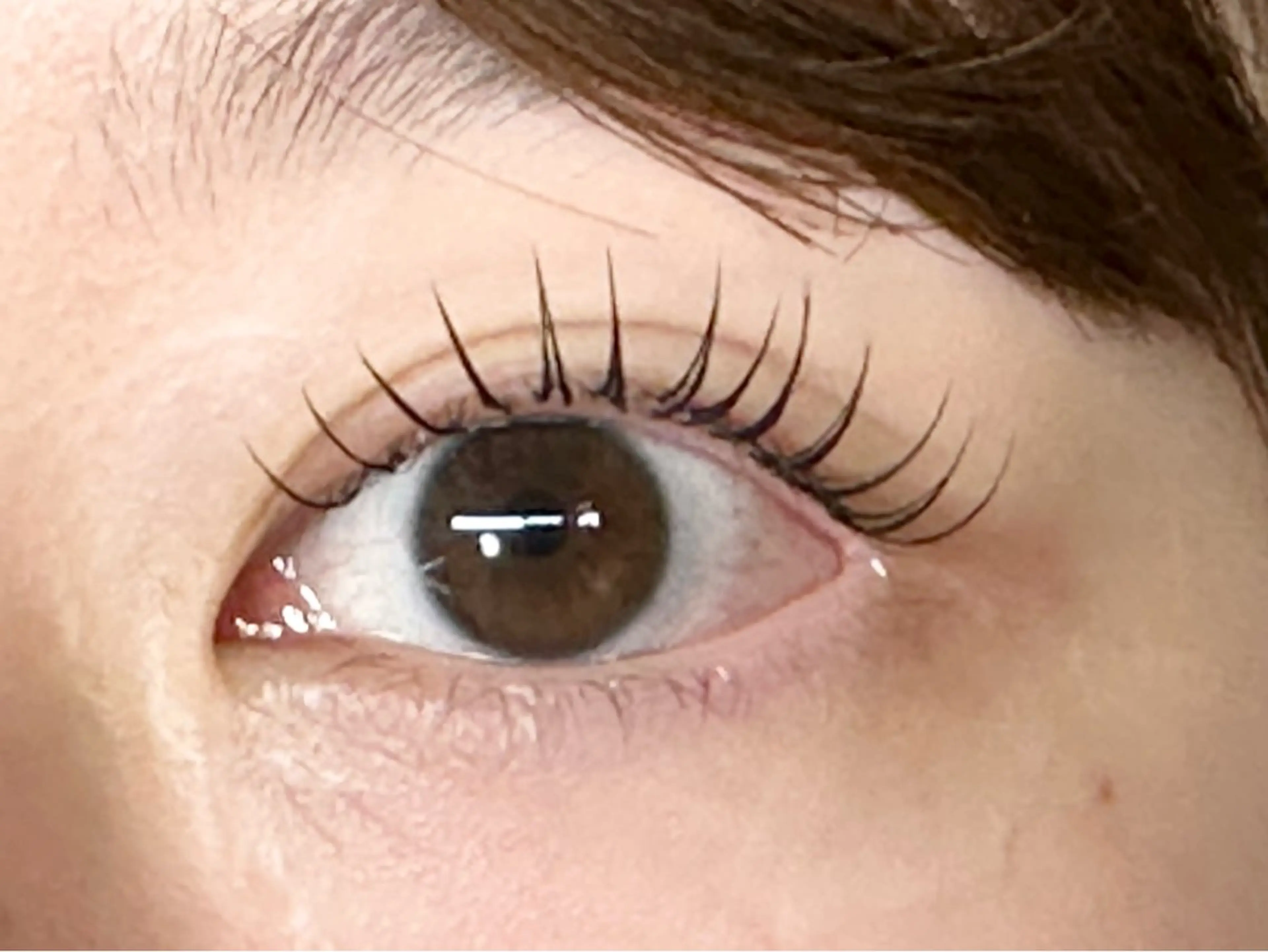 &healthy フラット100本（オフなし）の写真