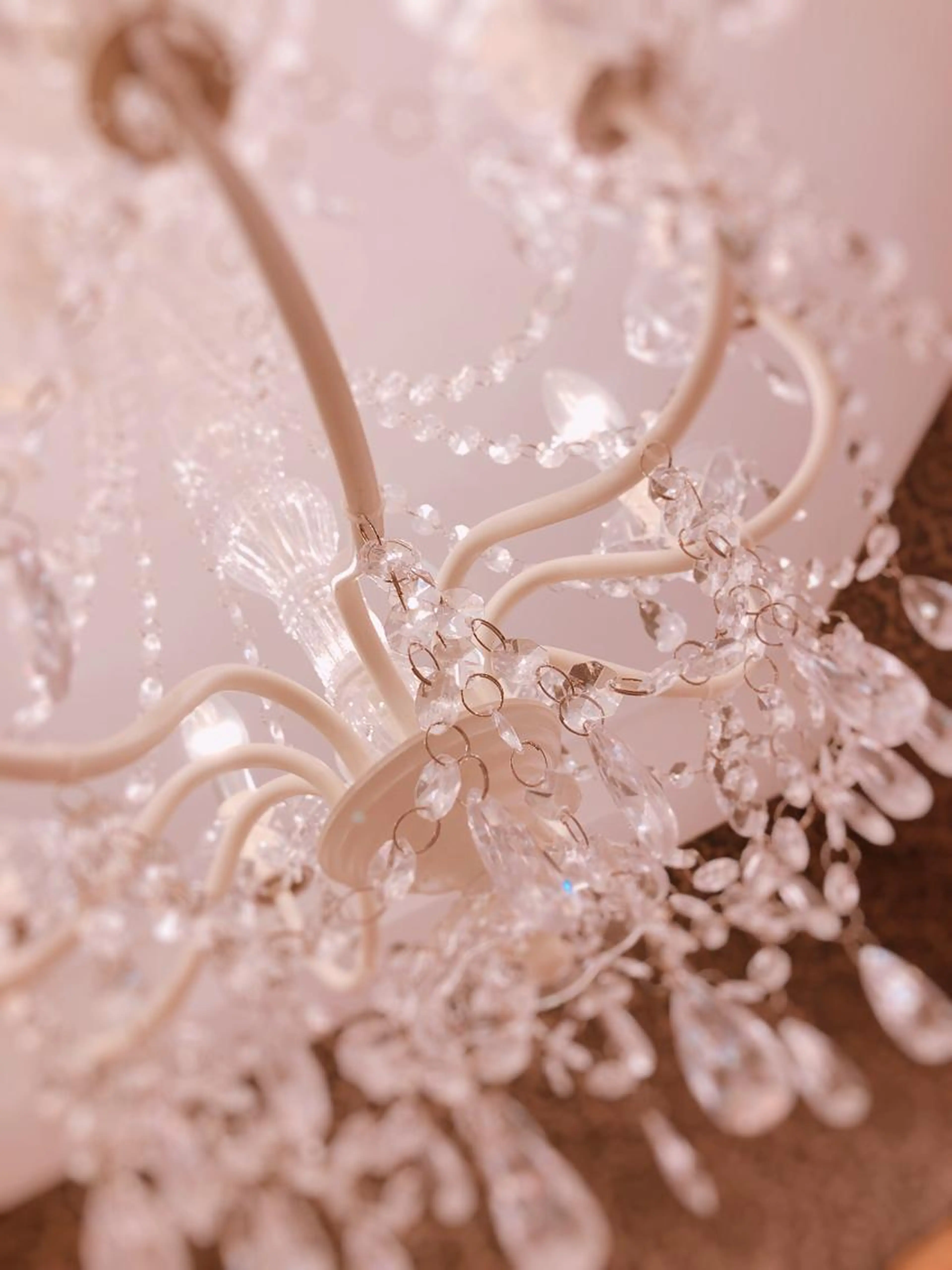 【医療提携脱毛】お顔全体&VIOセット脱毛⭐︎U24（学生）限定⭐︎の写真