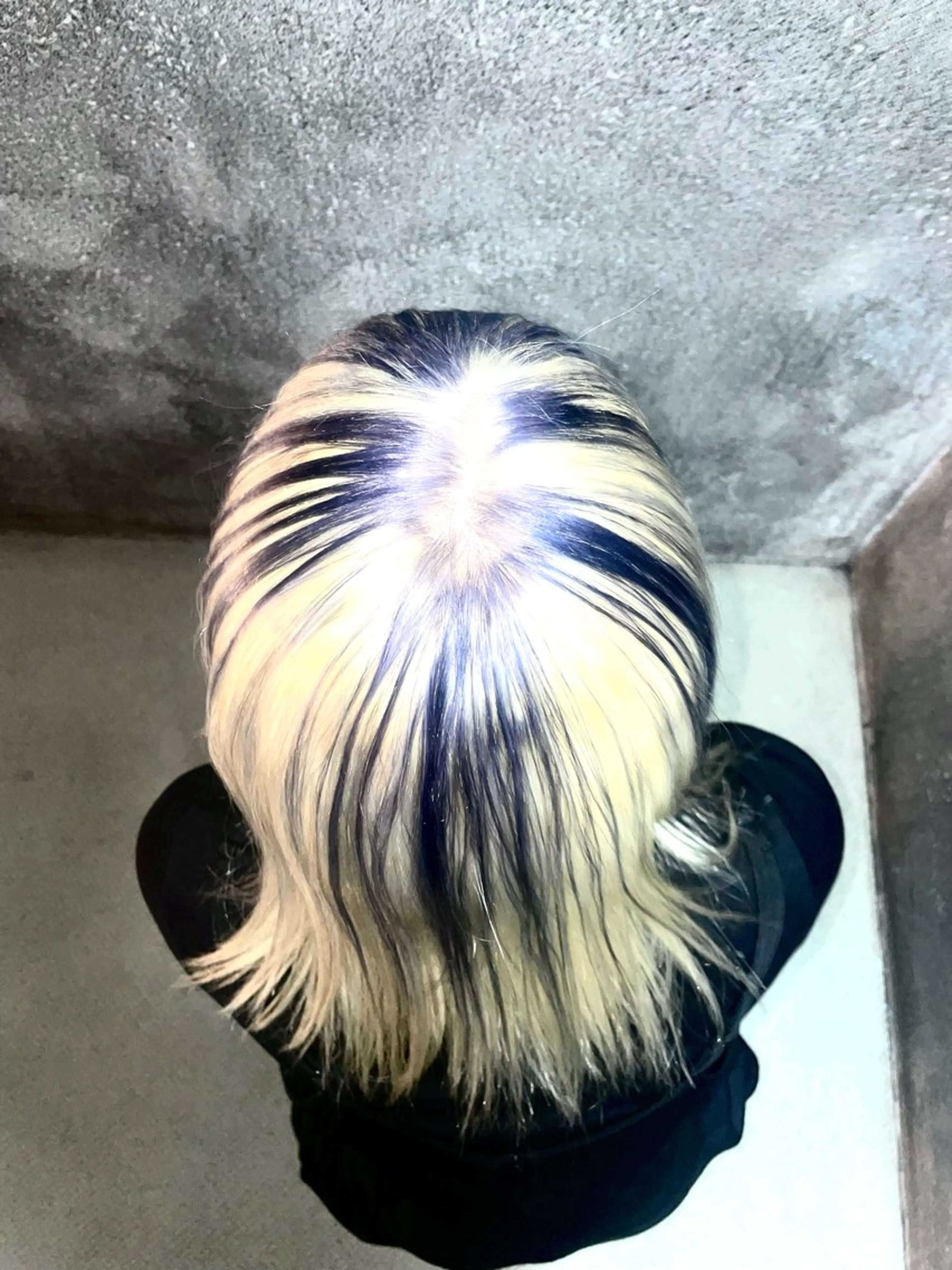 ミディアム カラー カット ヘアカラー トリートメント デザインカラー⭐︎★ 🐆hyo🐆のヘアスタイル