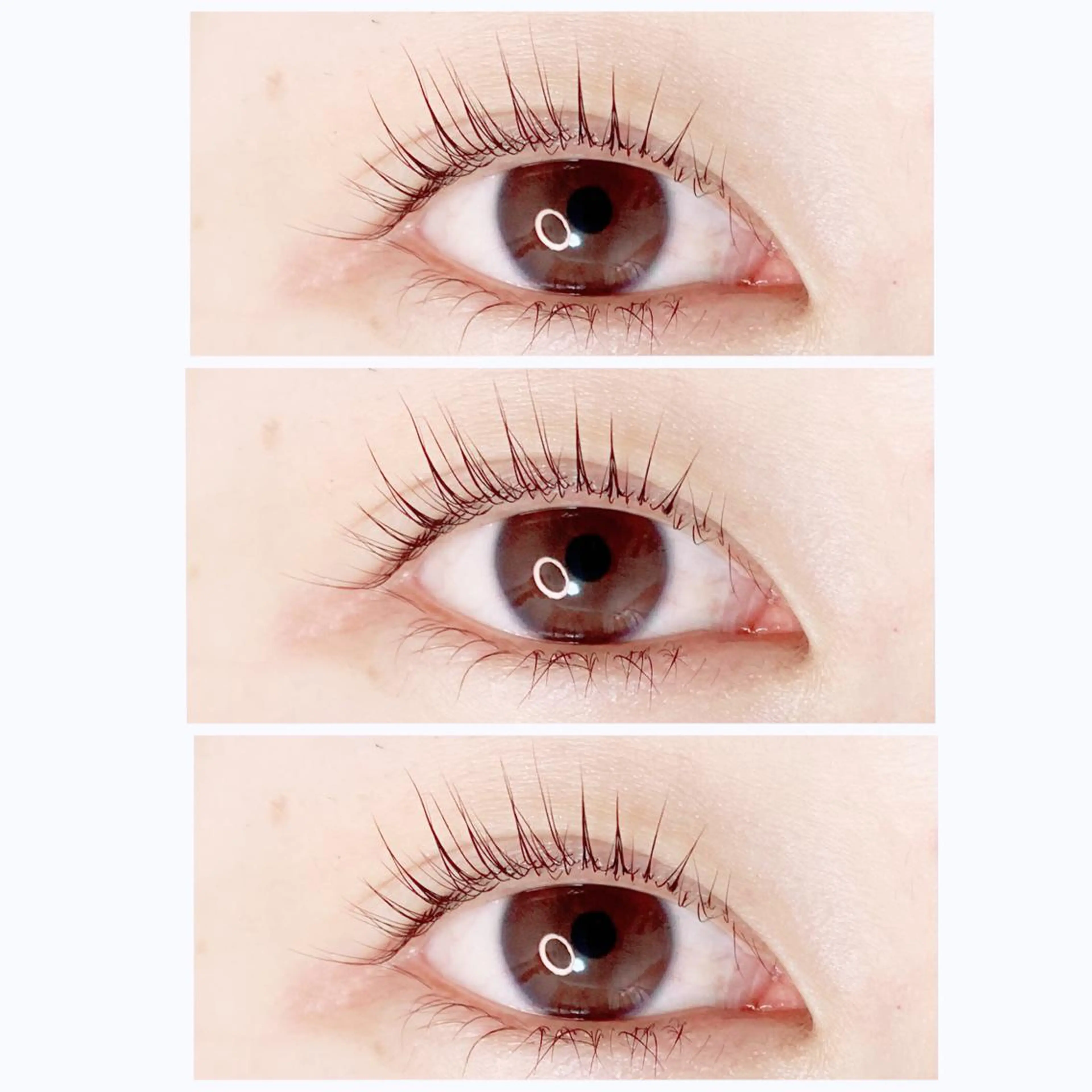 マツエク・マツパ マツパ Anne.eyelash所属・Anne. eyelashのマツエク・マツパデザイン