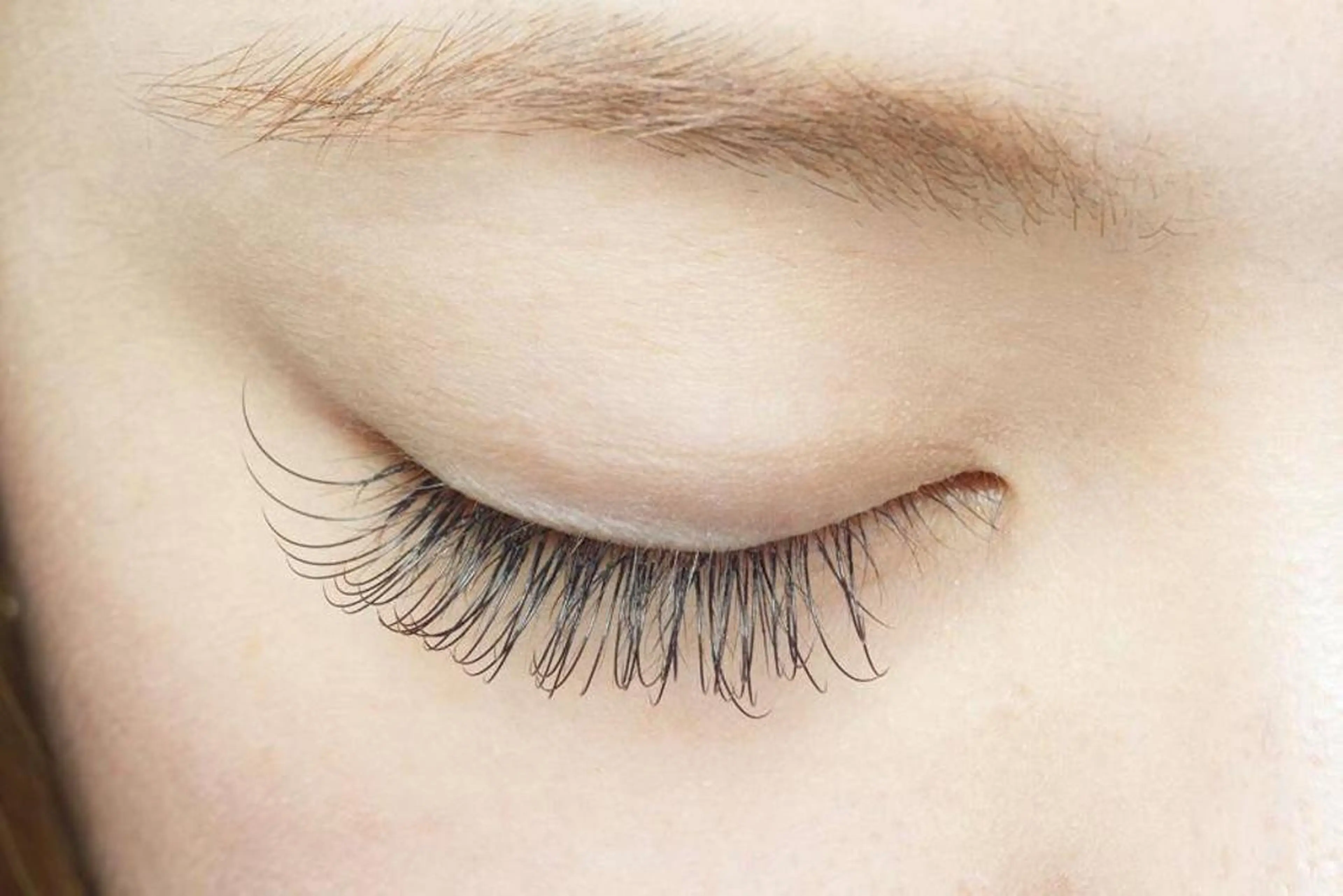 フラットラッシュ《80本🕊》の写真