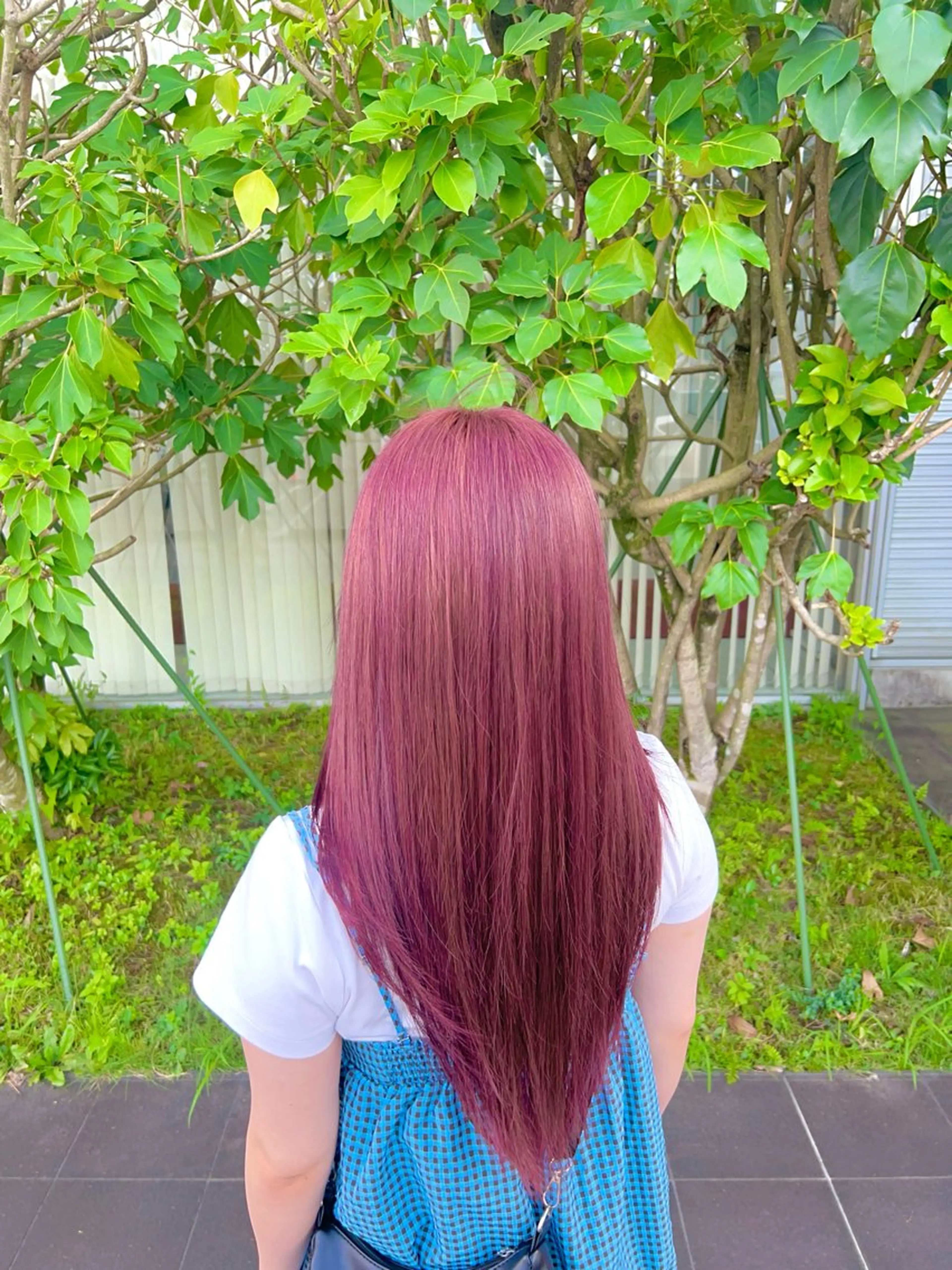 Wケアカラー(ブリーチ無し)の写真