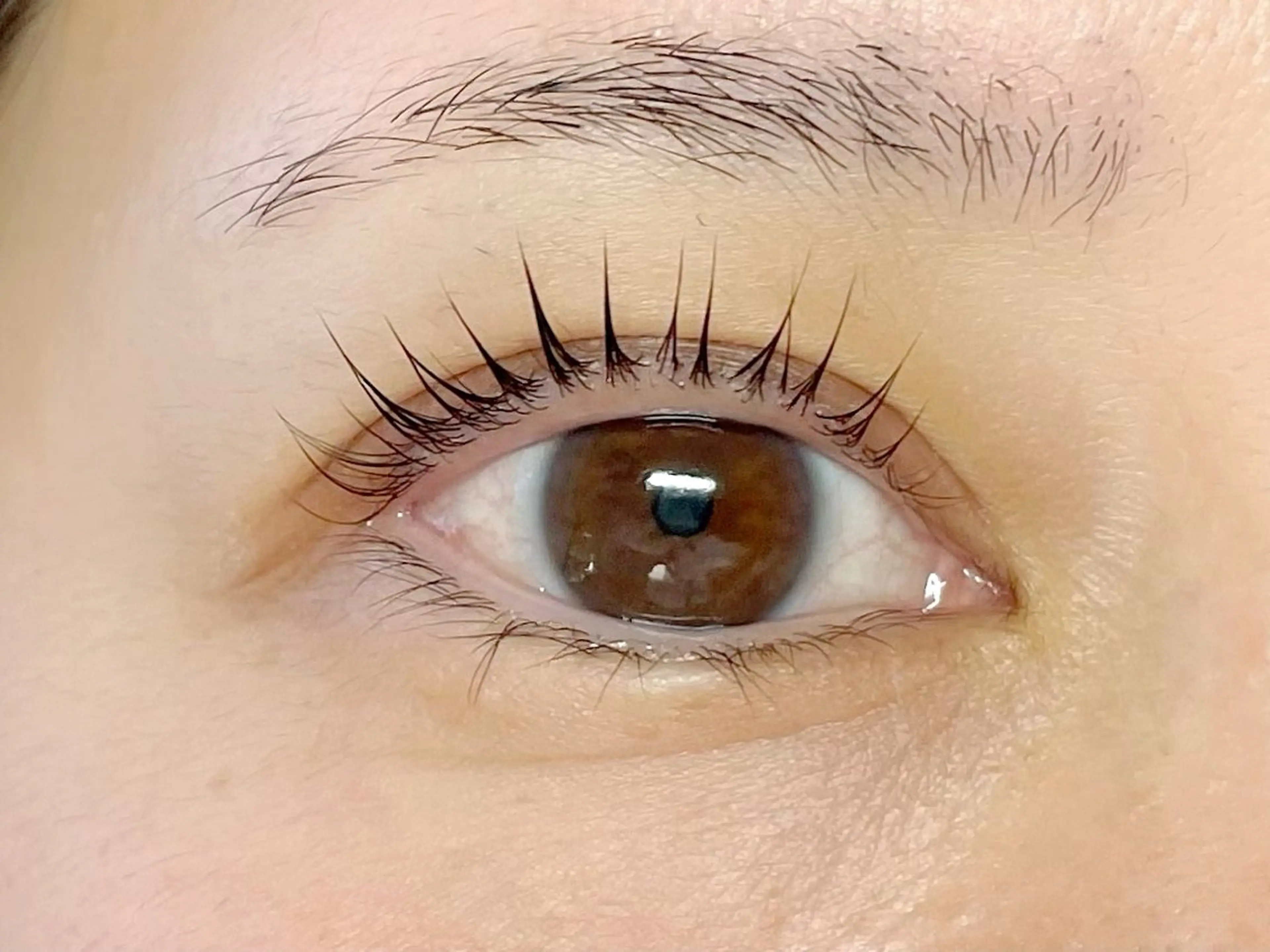 マツエク・マツパ 一重×まつ毛パーマ 悠~Haruka~所属・悠 Harukaのマツエク・マツパデザイン