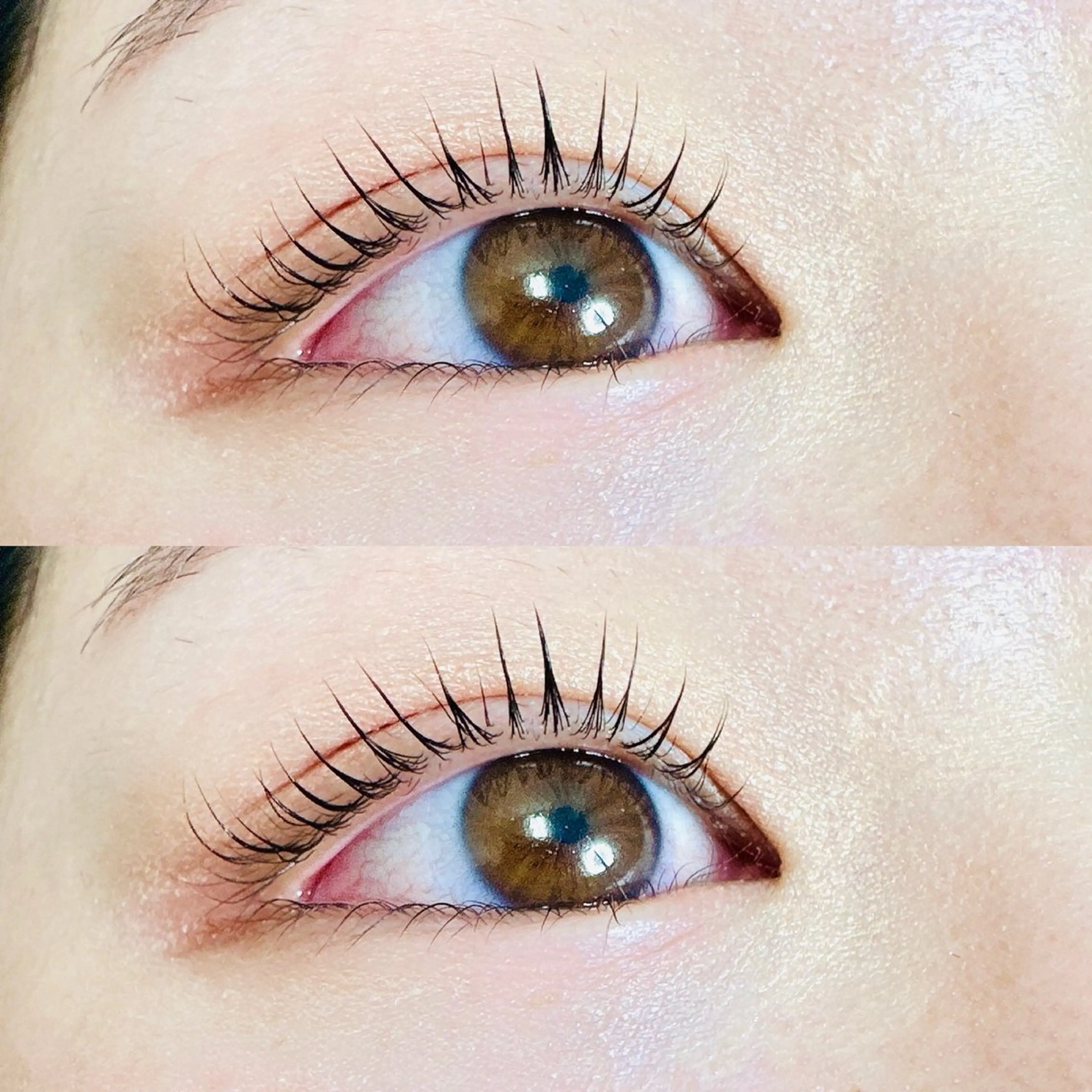 まつ毛パーマ上まつ毛、下まつ毛セットの写真