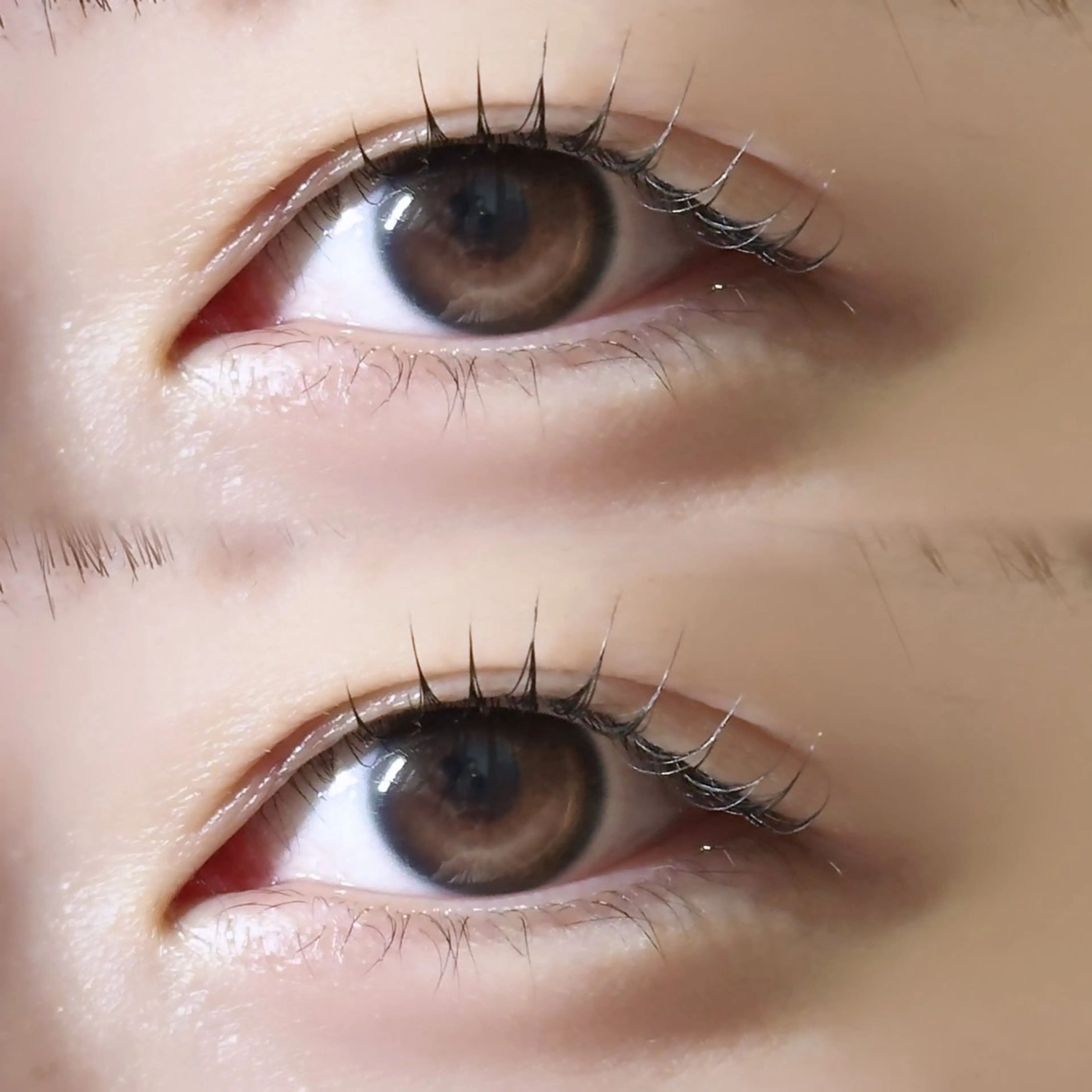 マツエク・マツパ パリジェンヌラッシュリフト 【MEPP】たにわき ゆうなの眉毛・アイブロウイメージ