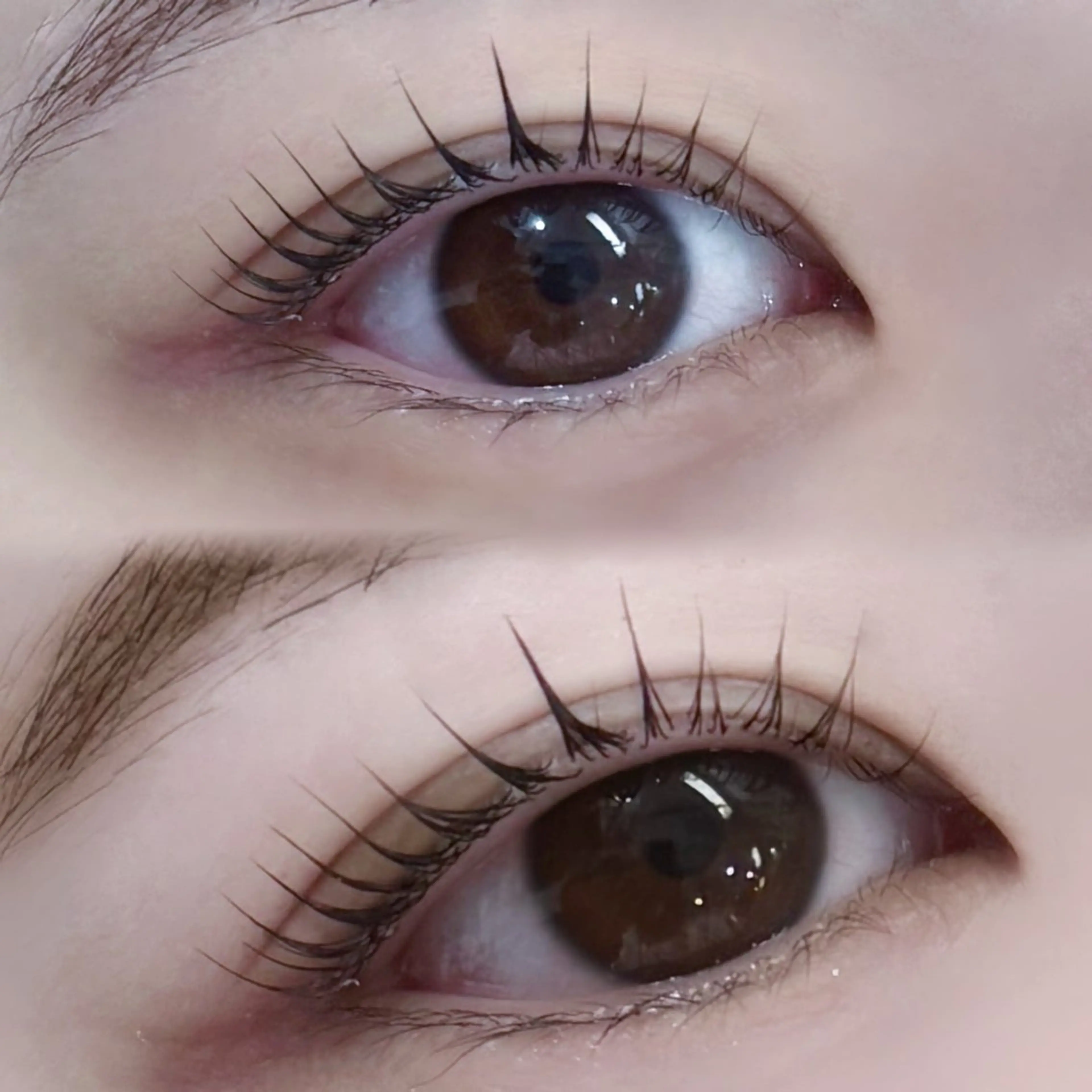 マツエク・マツパ CERINAmini はるひ【博多駅近】のエステ・リラクイメージ