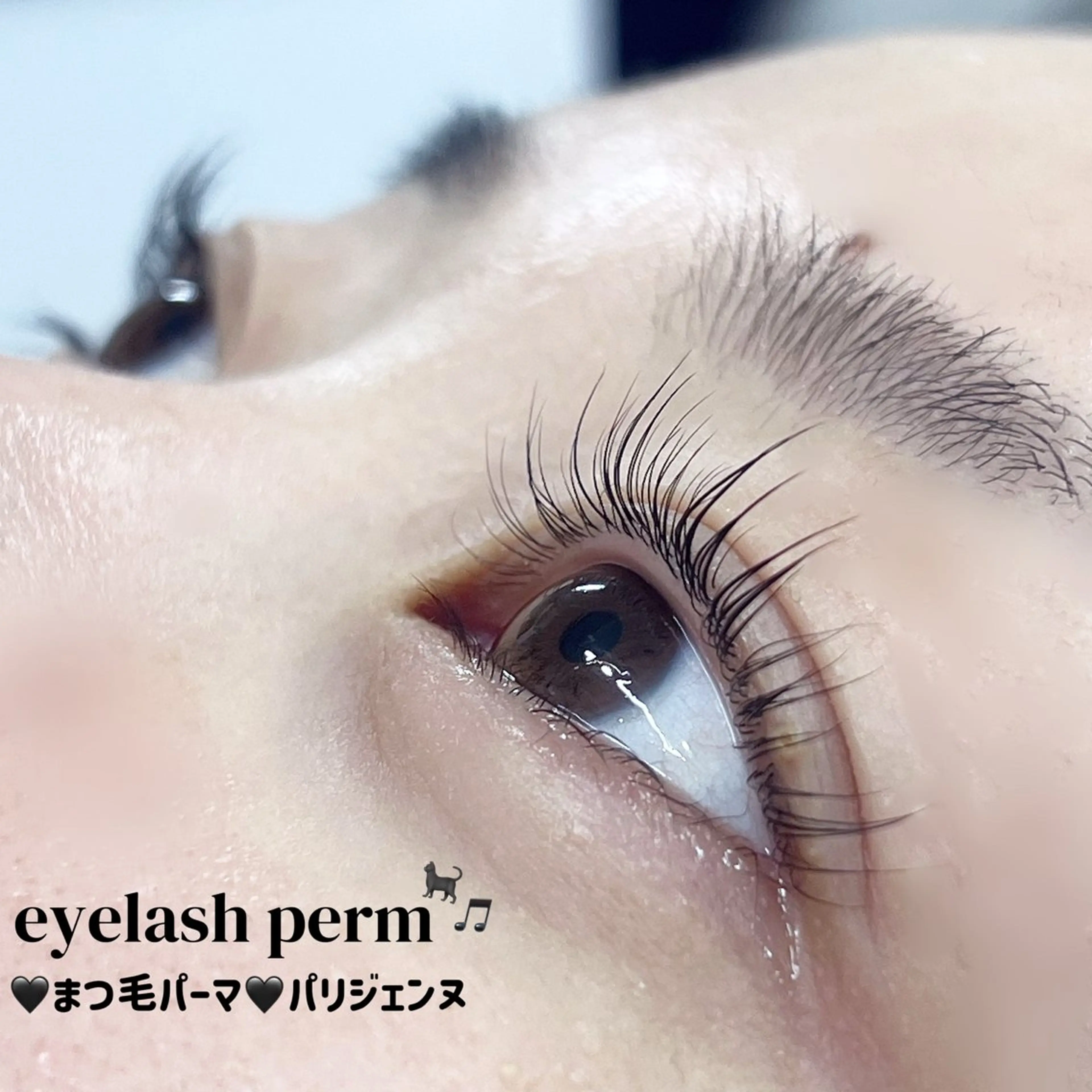 マツエク・マツパ 石渡 心花のマツエク・マツパデザイン