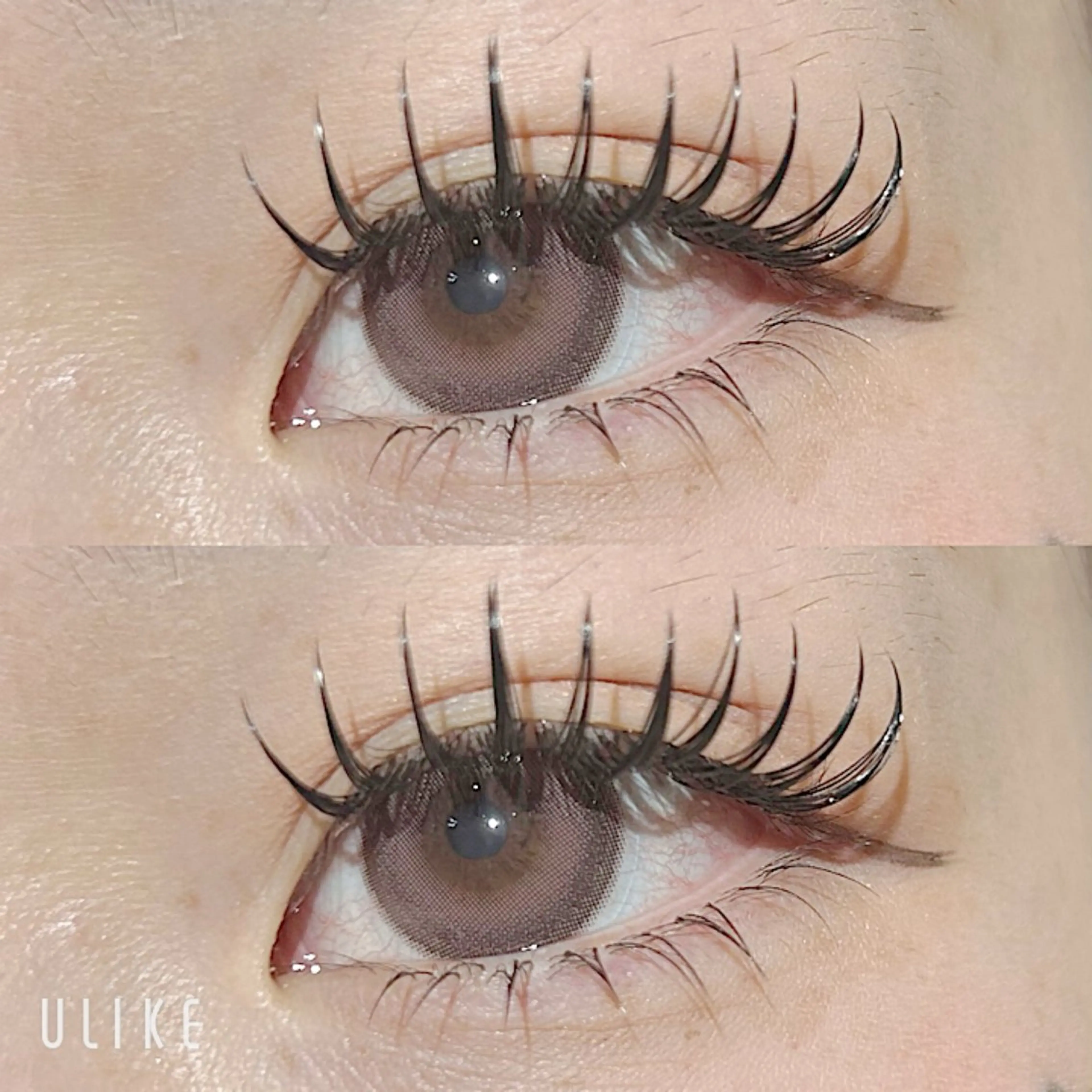マツエク・マツパ Dカール フラットラッシュ 下まつげエクステ luluCHARIS PRINCESSのマツエク・マツパデザイン