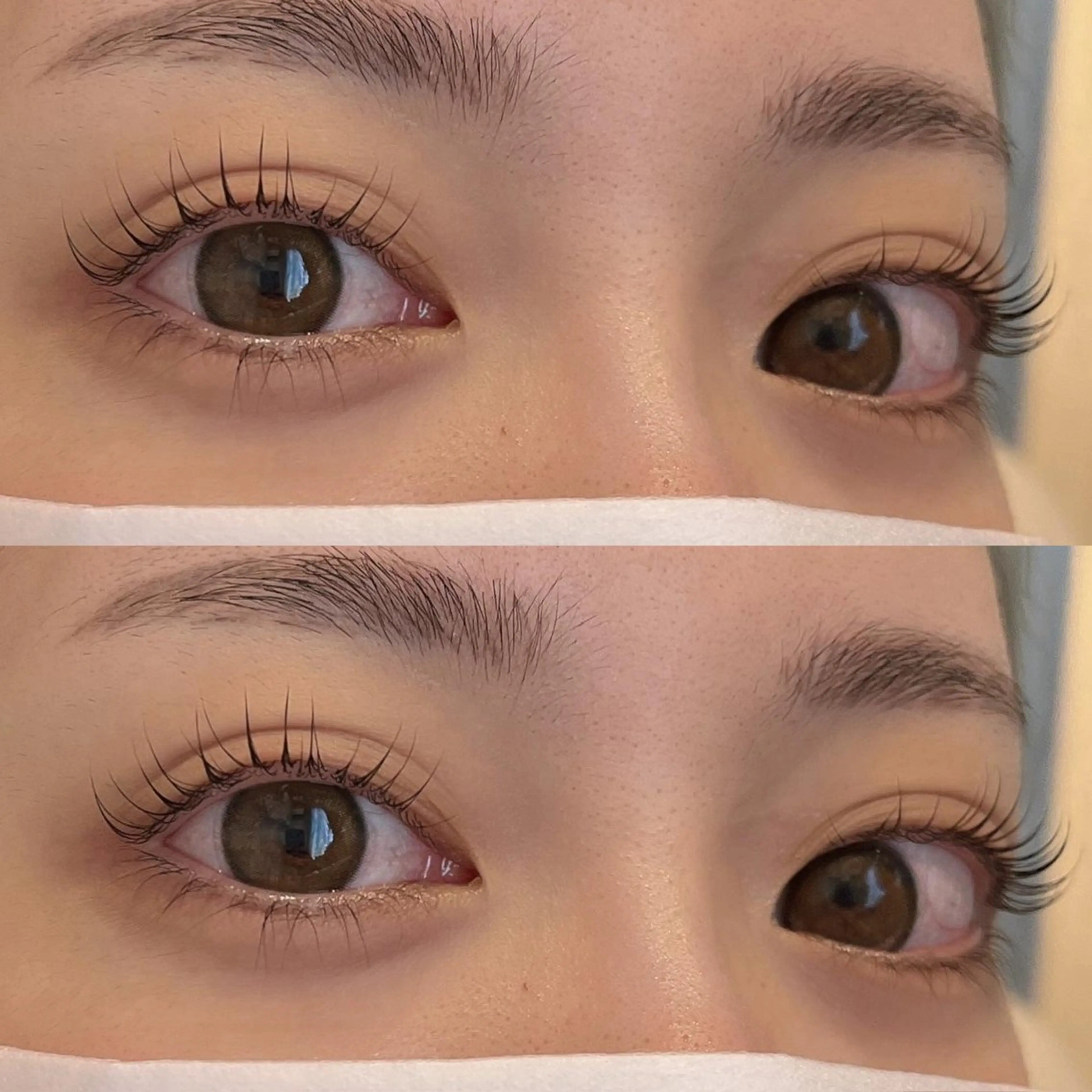 平日限定💫お問い合わせ限定🙇まつげパーマの写真