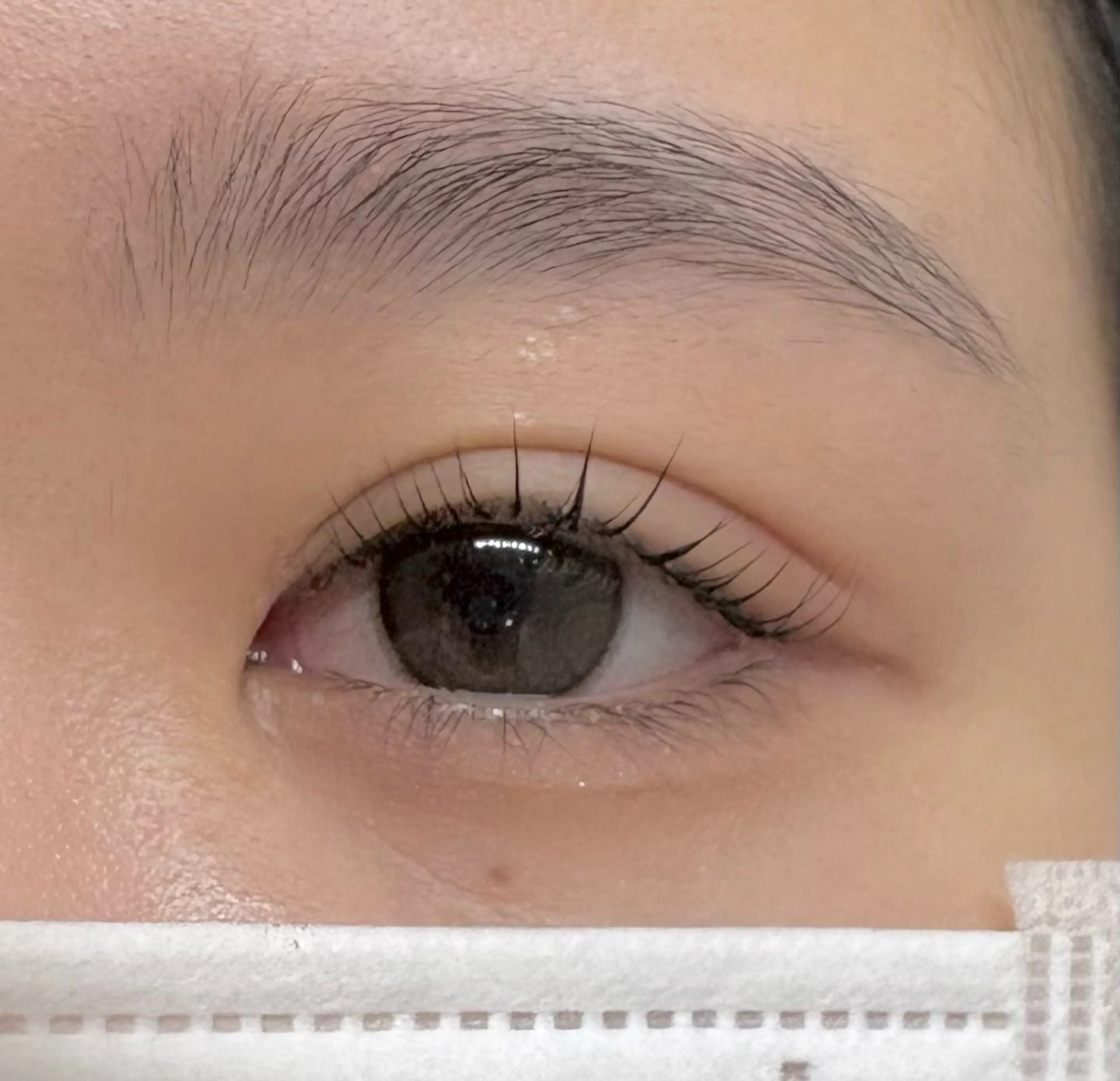 マツエク・マツパ Holus Moriguchiのマツエク・マツパデザイン