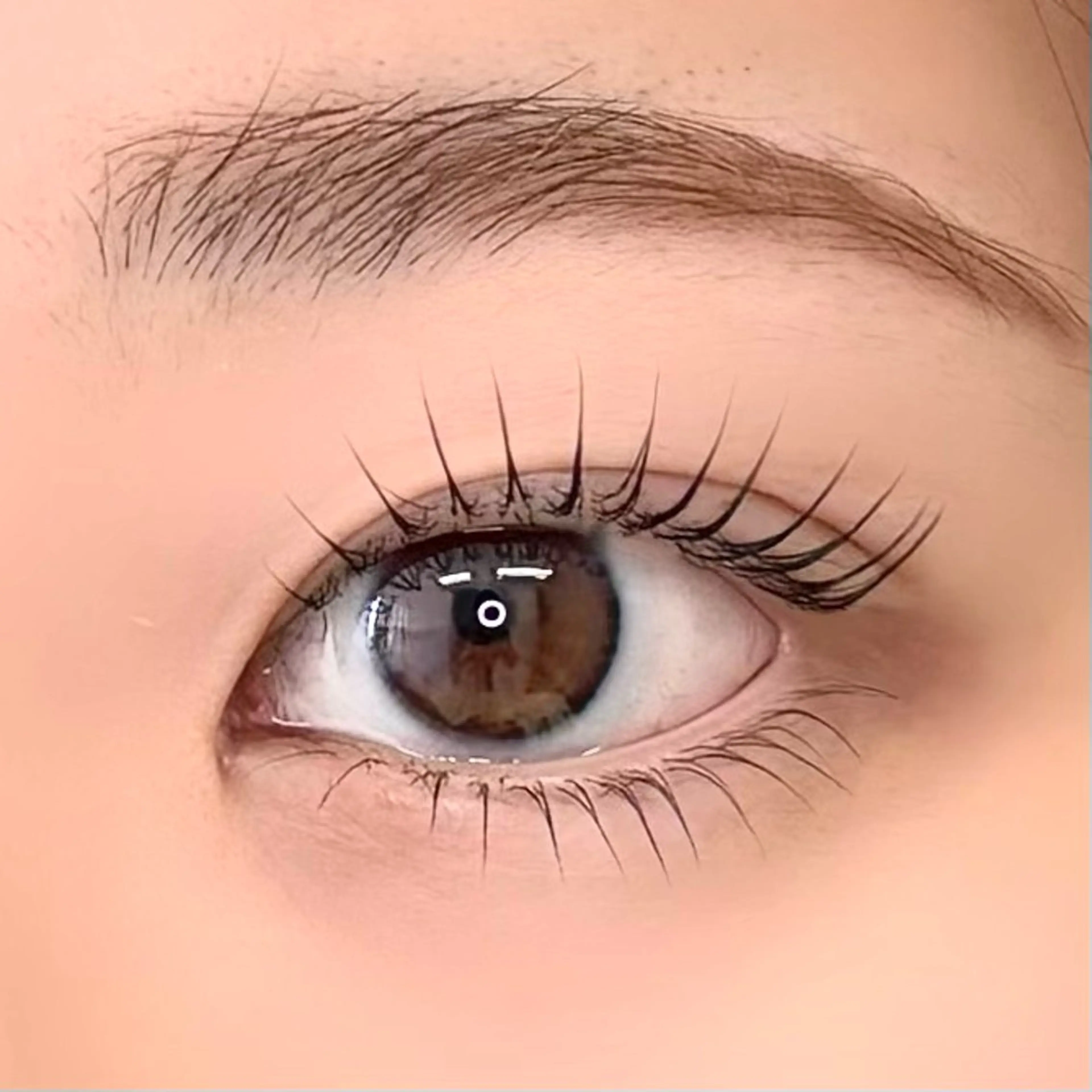 🛁 上下まつげパーマ 🛁 【 パリジェンヌ or ラッシュリフト 】練習モデル様の写真