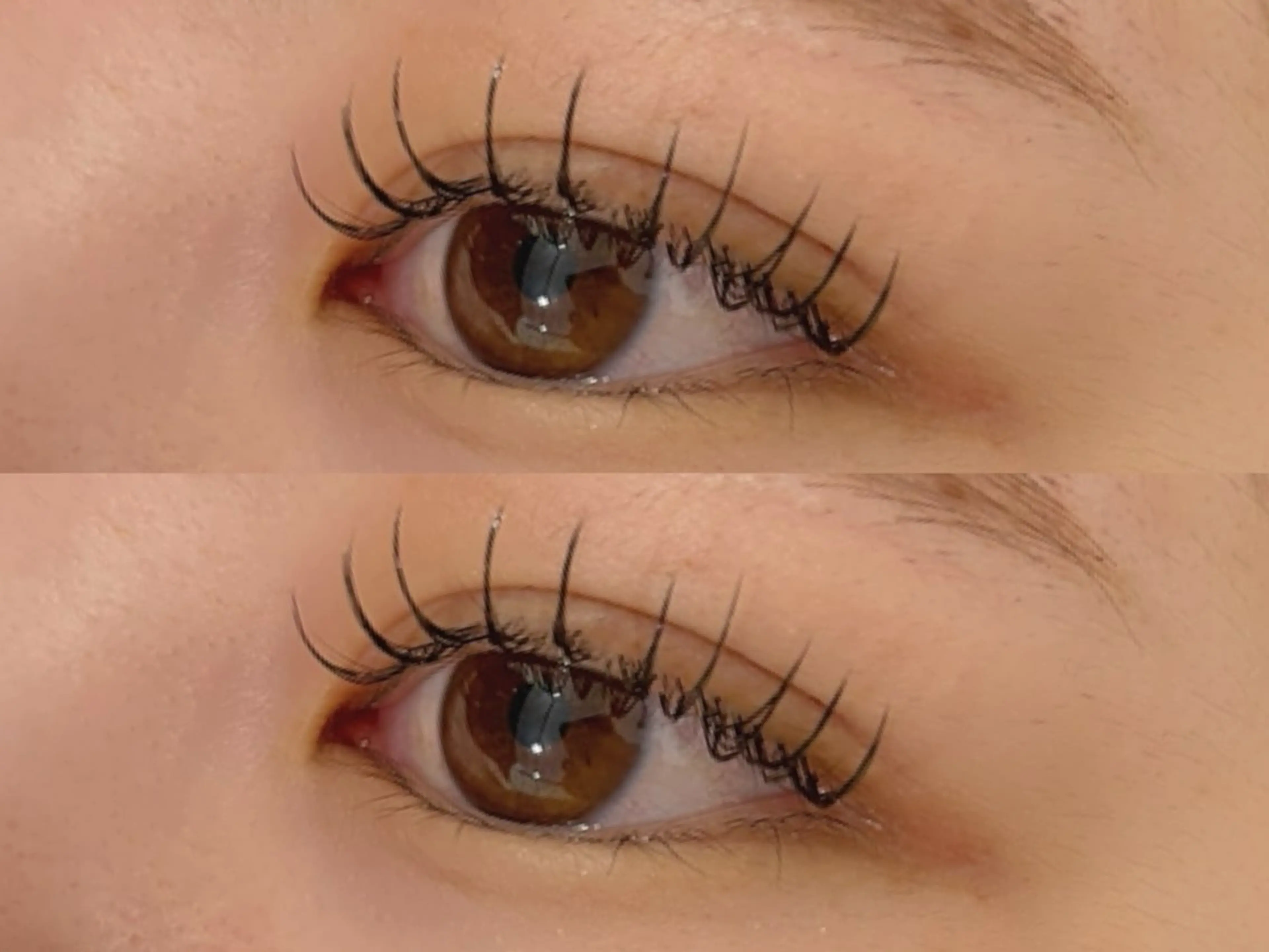 フラットラッシュ120本🦔の写真