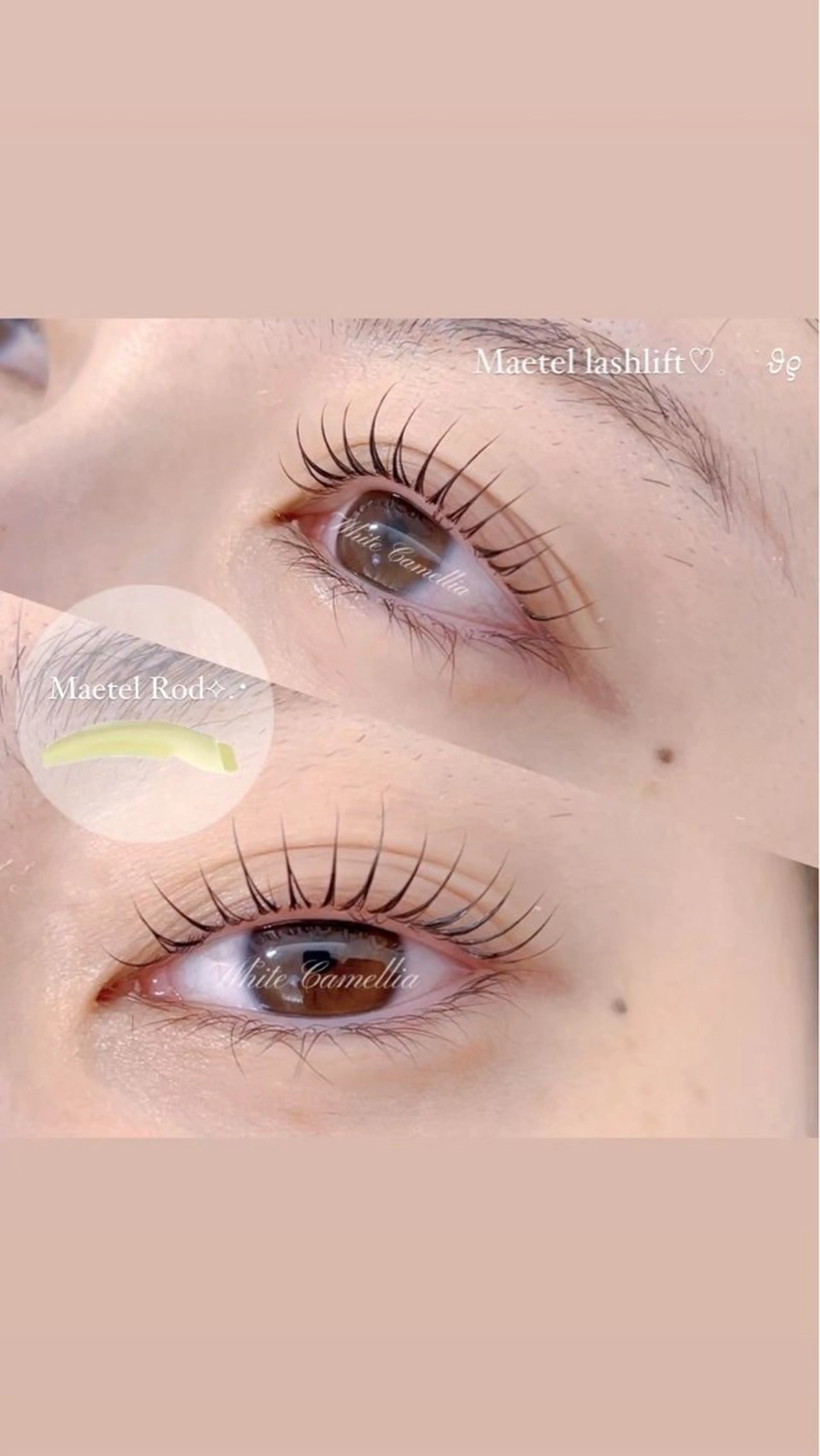 マツエク・マツパ miyu/圧倒的モチ /韓国風束感のマツエク・マツパデザイン