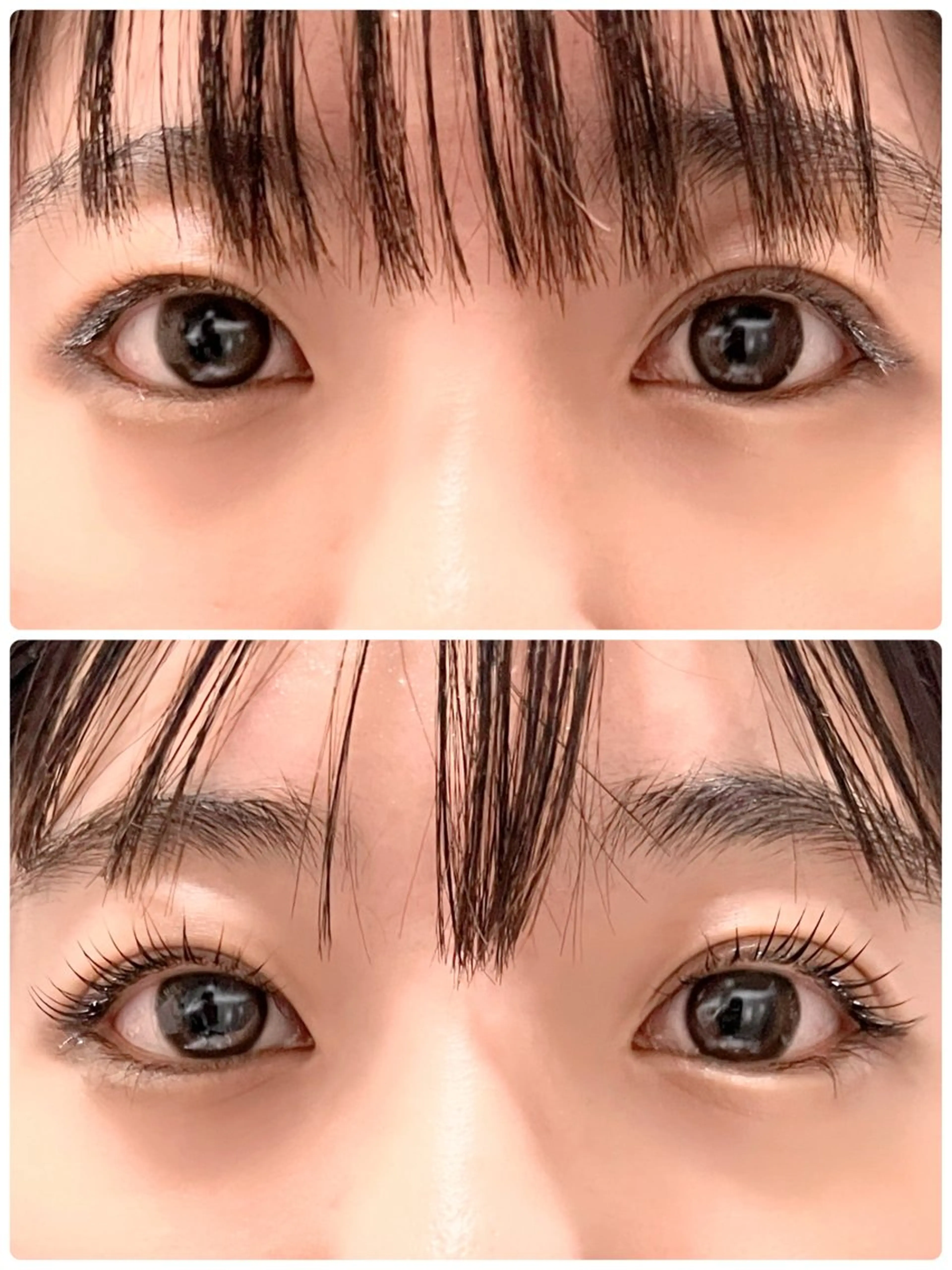 マスカラパーマ・ブラックコーティングの写真