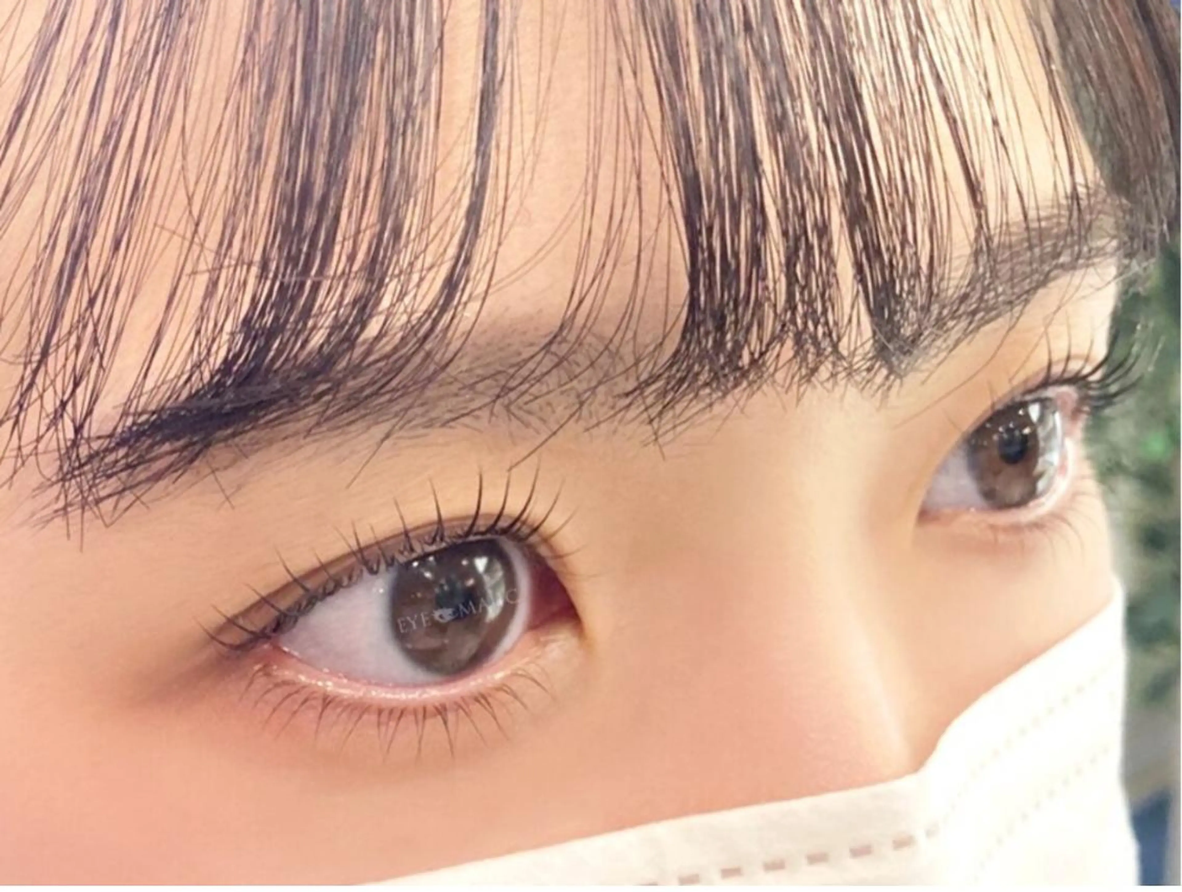 《上》パリジェンヌラッシュリフト¥6980→¥3980【コーティング仕上げ無】の写真