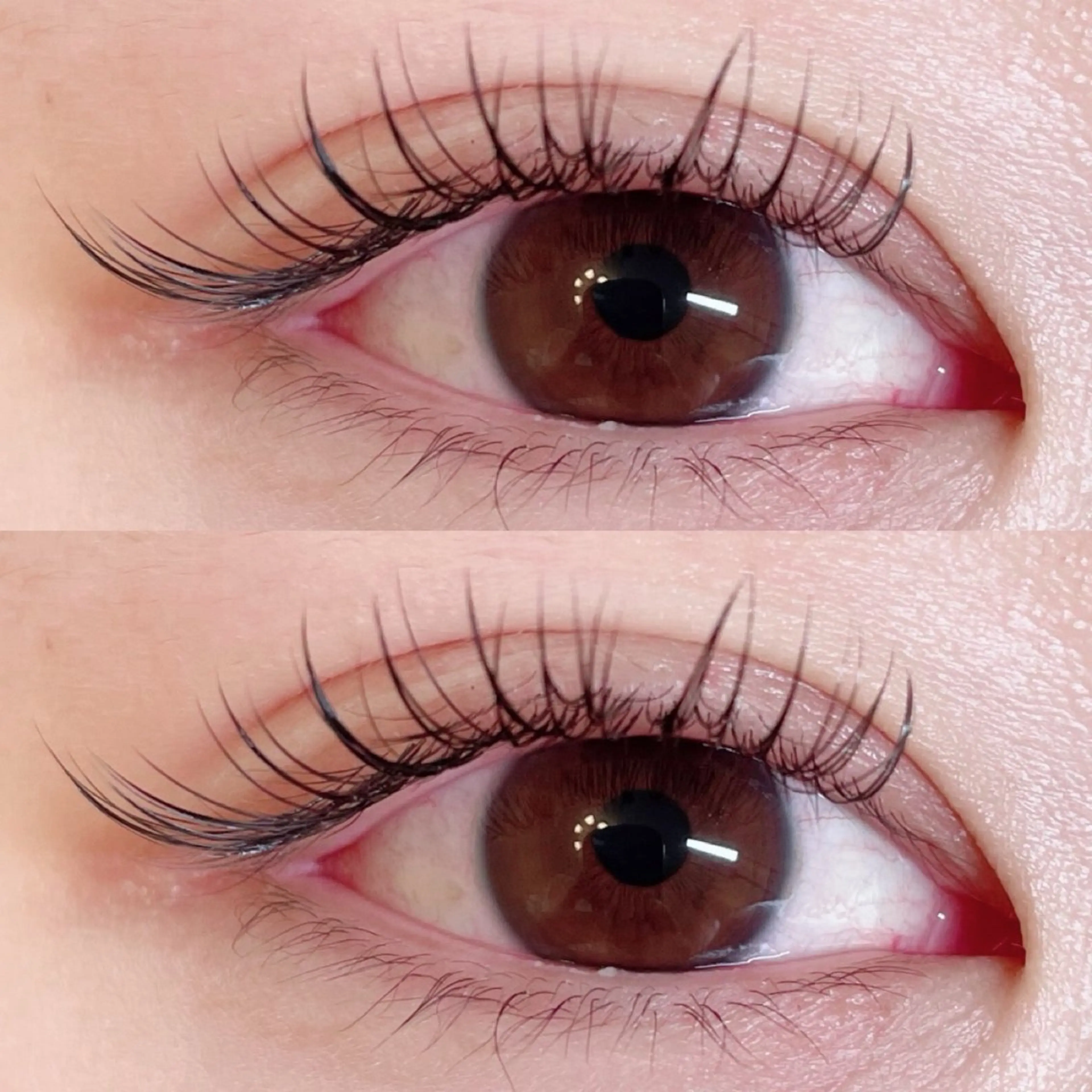 マツエク・マツパ stella eyelash所属・stella eyelashのマツエク・マツパデザイン