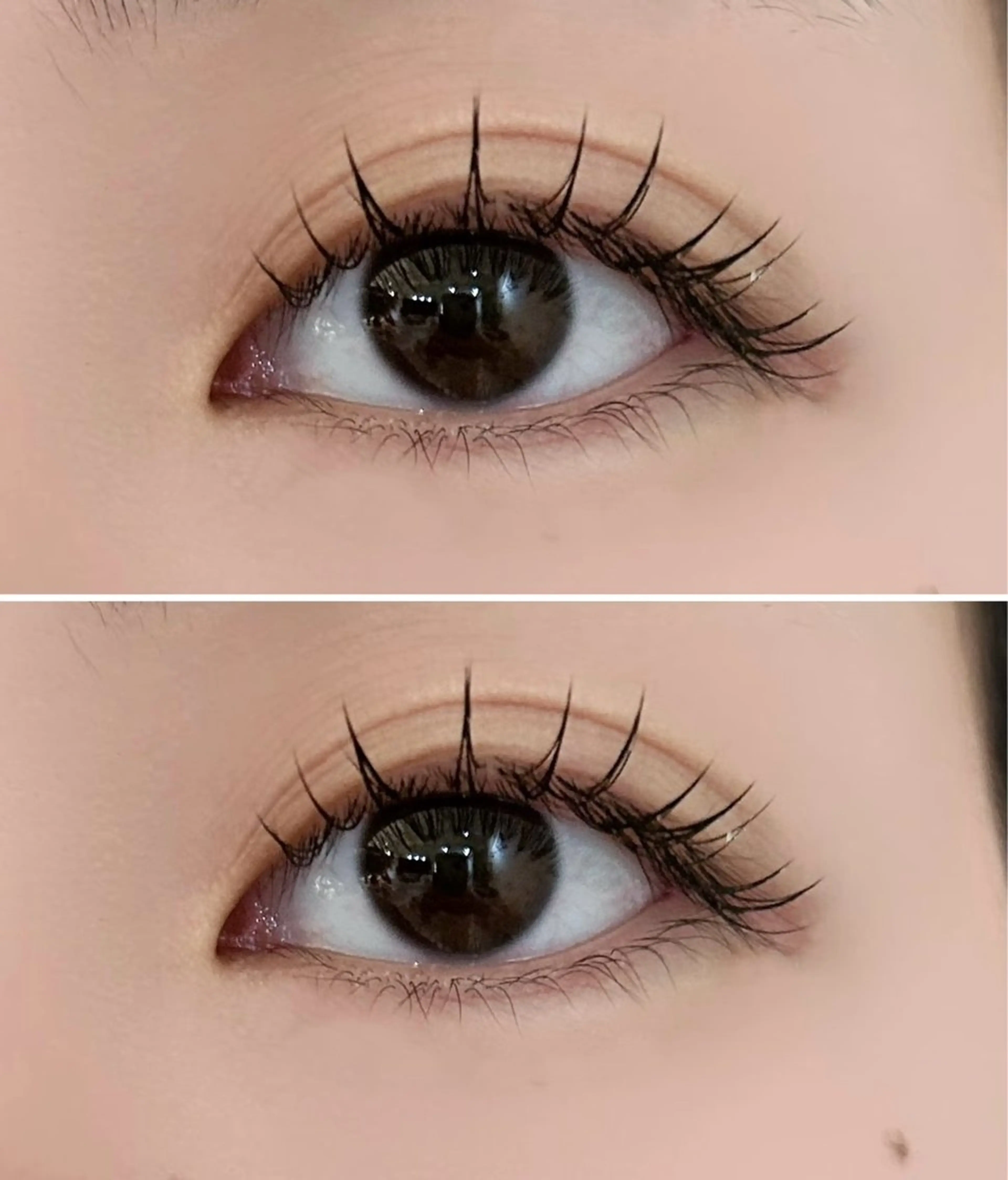 フラットラッシュ　LED&コーティング付き　120本3800円/140本4300円（オフ無し）の写真